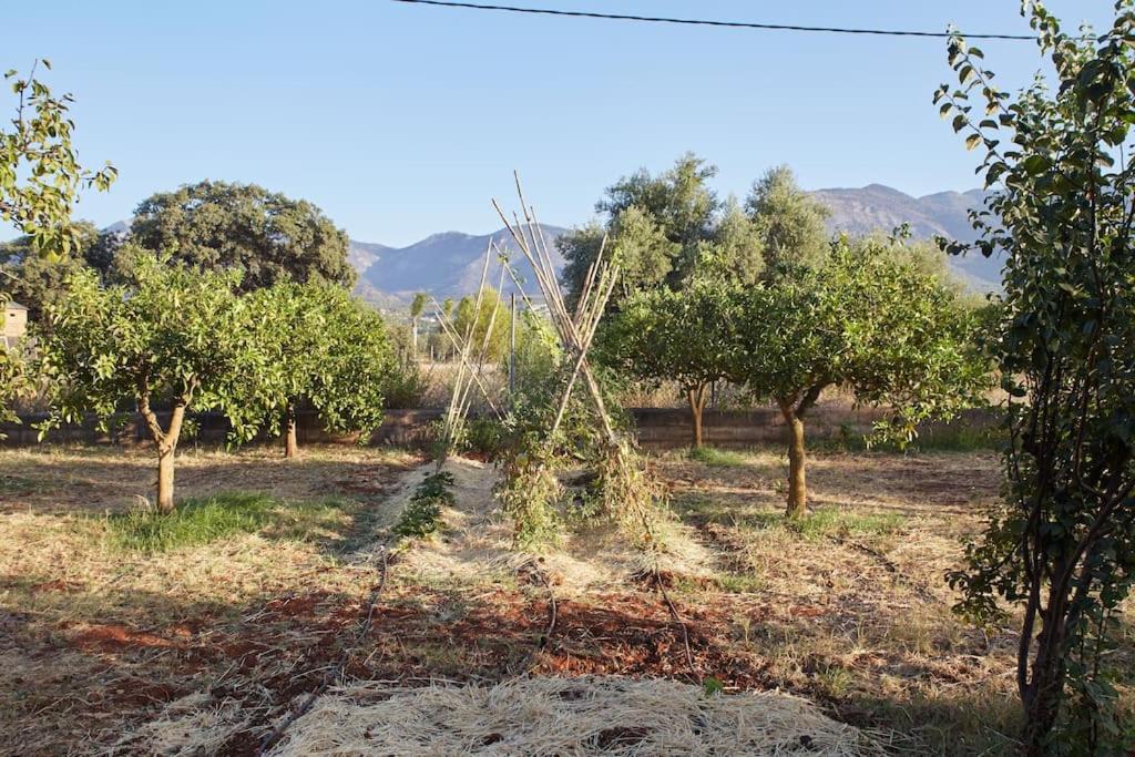 Finca La Madreselva