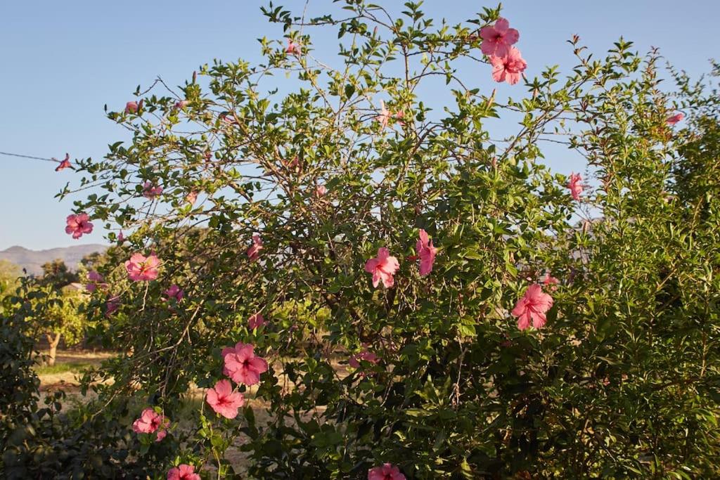 Finca La Madreselva