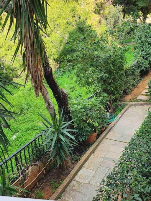 Vouliagmeni Thalassa Apartment