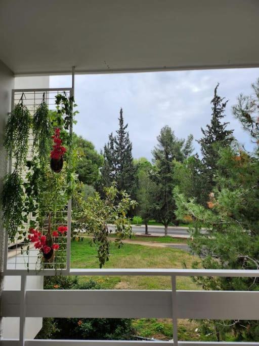 Vouliagmeni Thalassa Apartment