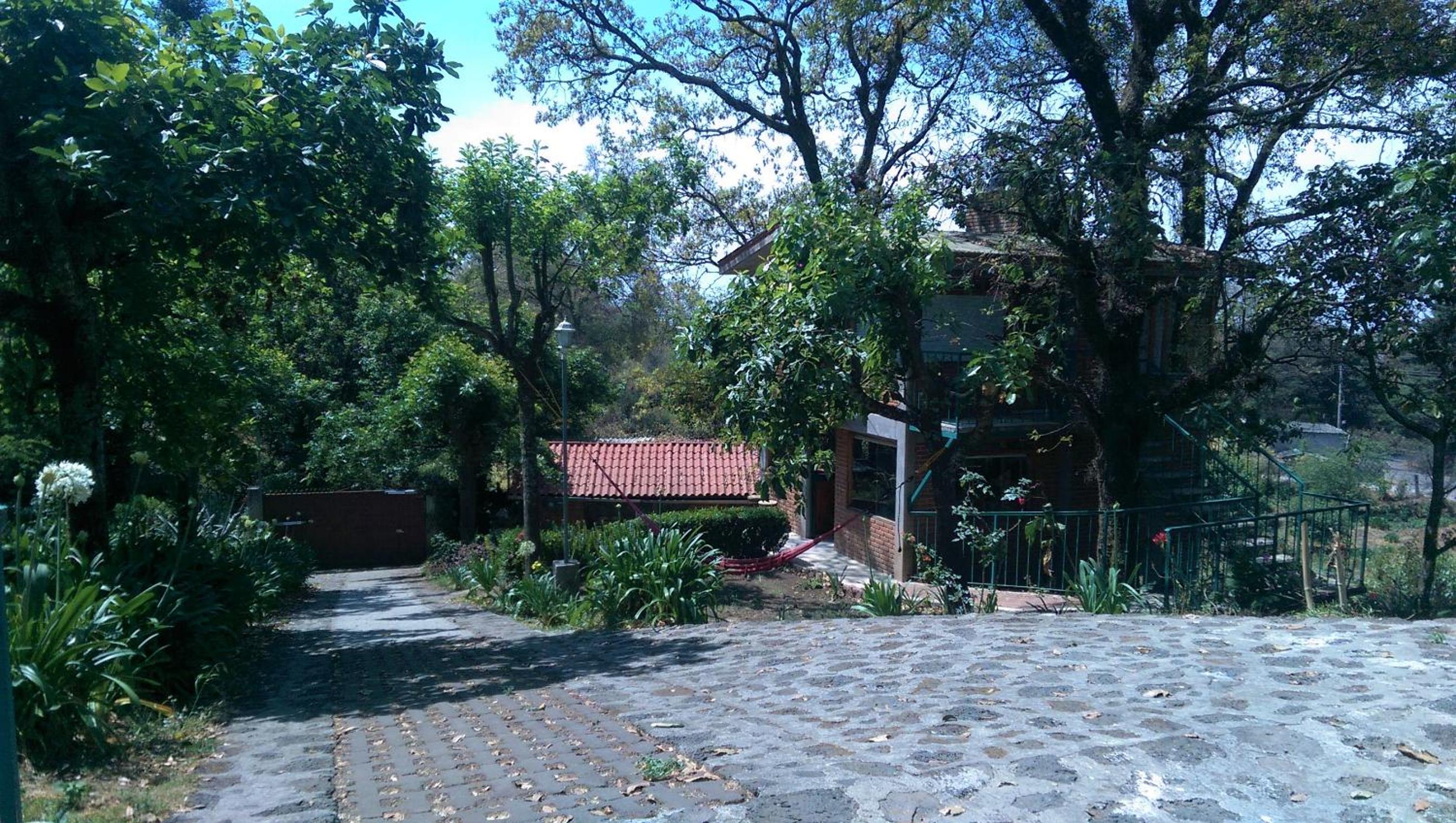 Acogedor Bungalow en medio del bosque de Tepoztlan view 2