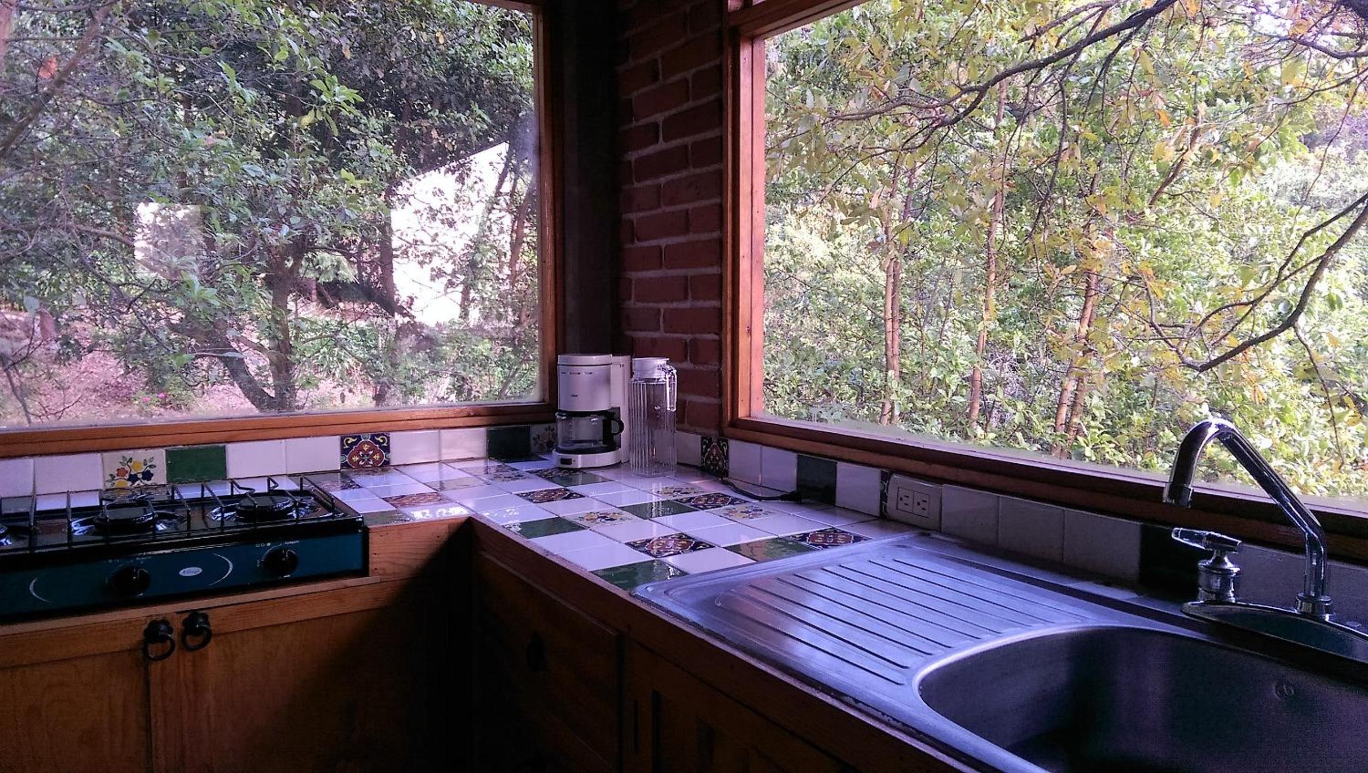 Acogedor Bungalow en medio del bosque de Tepoztlan view 4