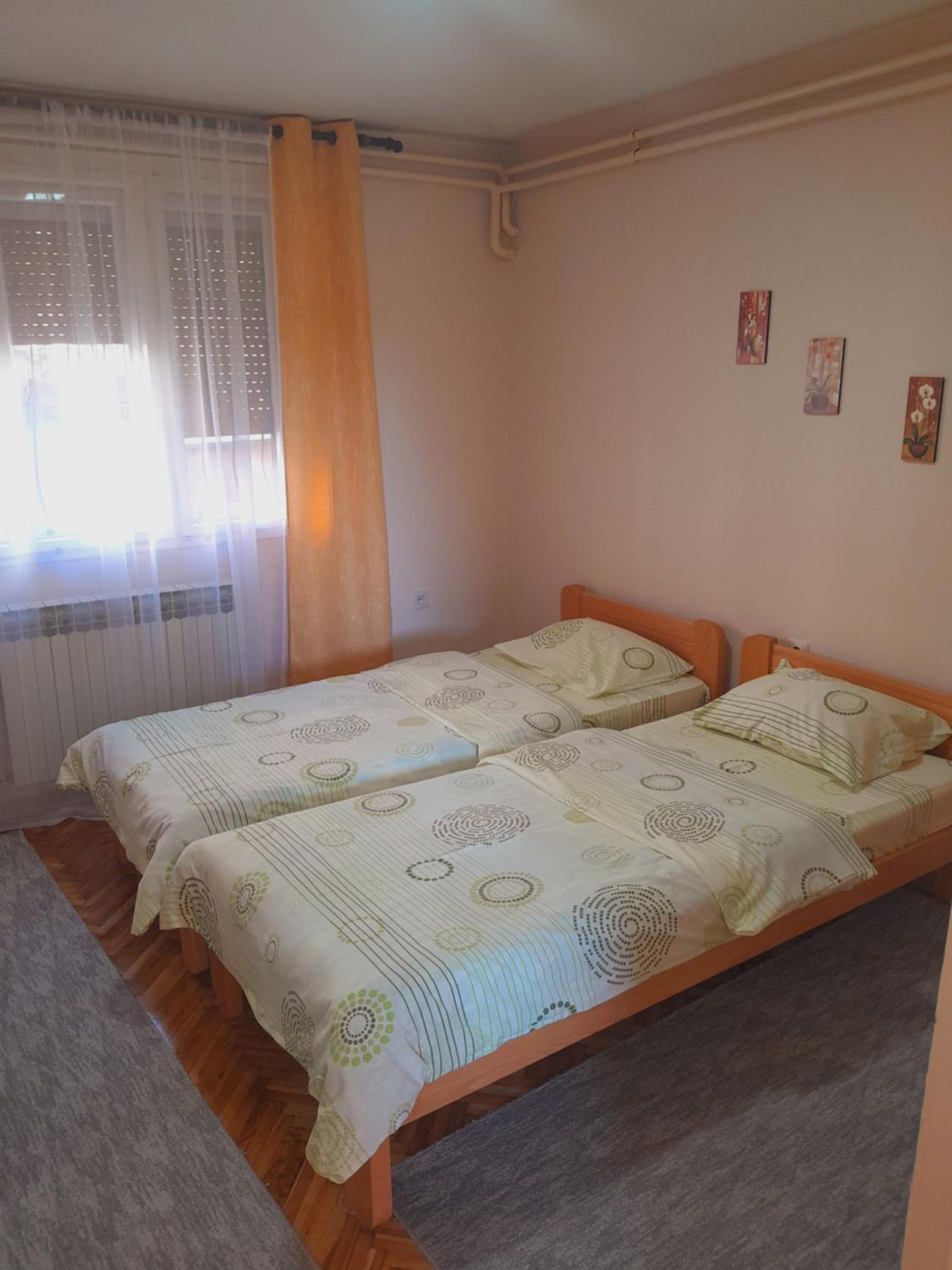Apartmani Arsic view 3