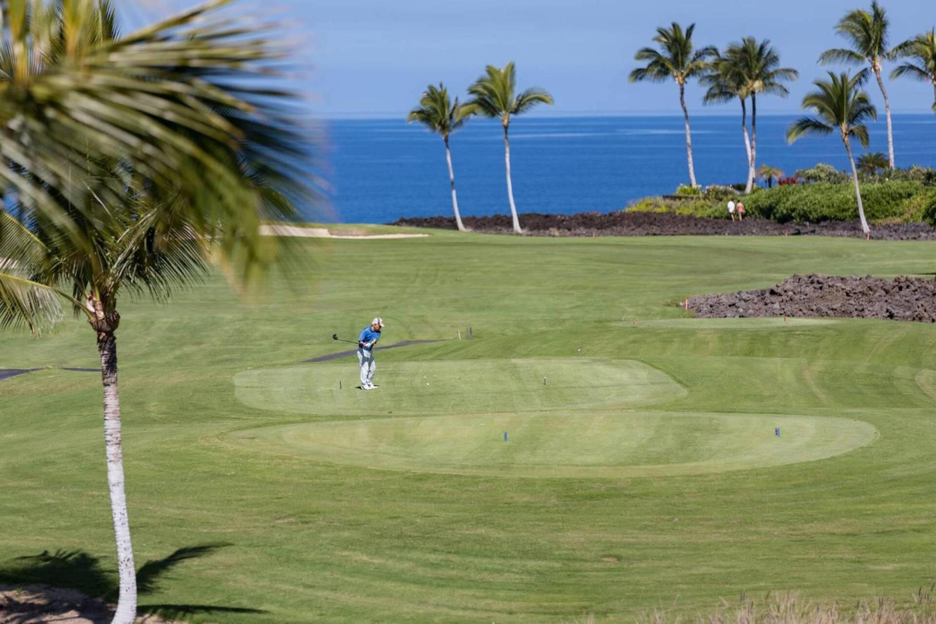 Hale Ohana Aloha view 5