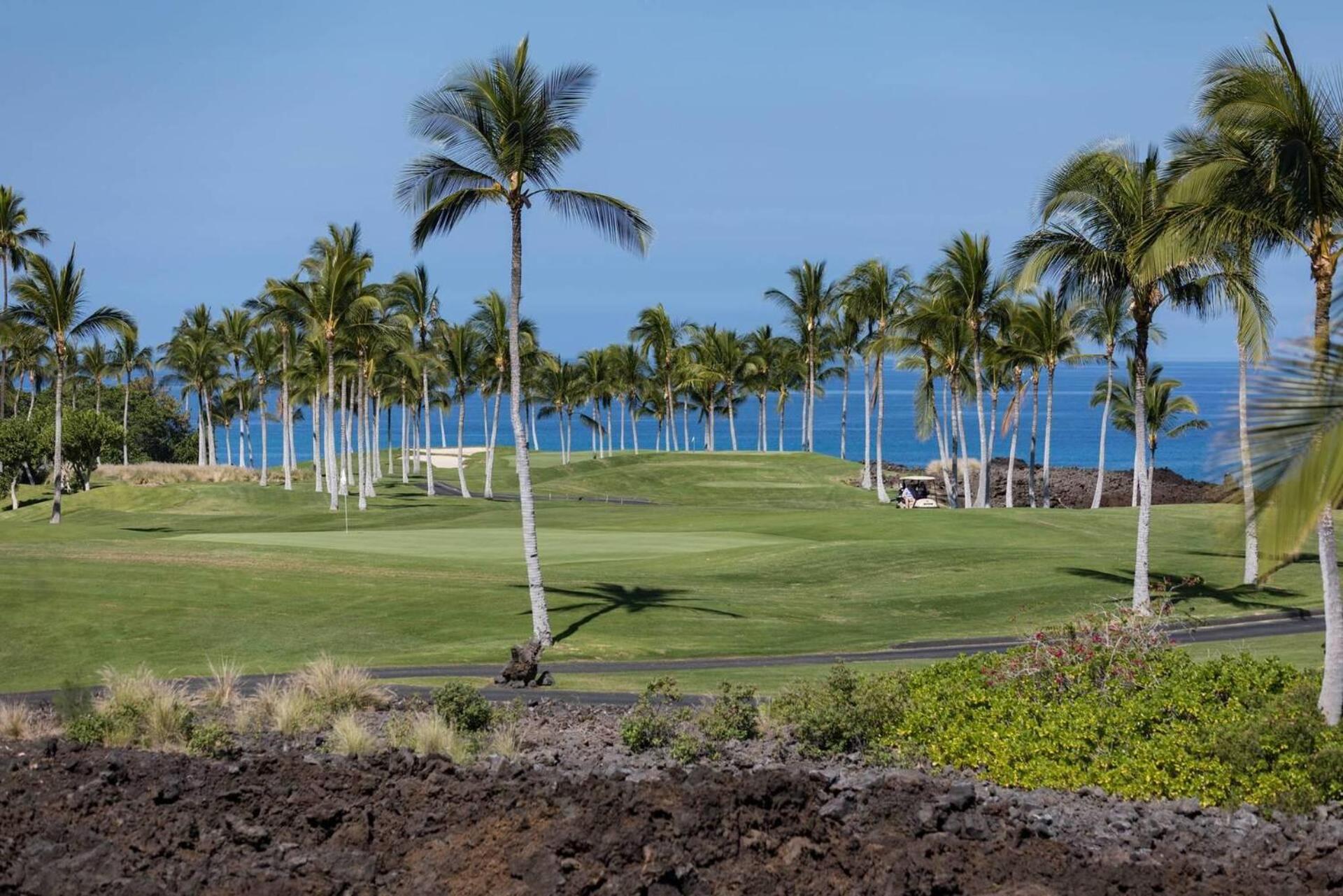 Hale Ohana Aloha view 4