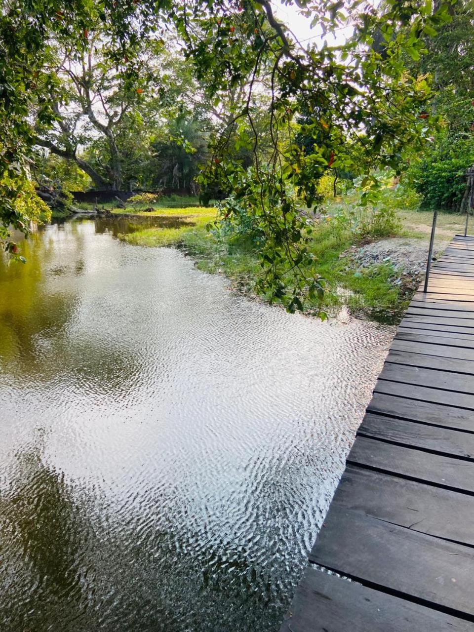 Riverpark Guesthouse Arugambay