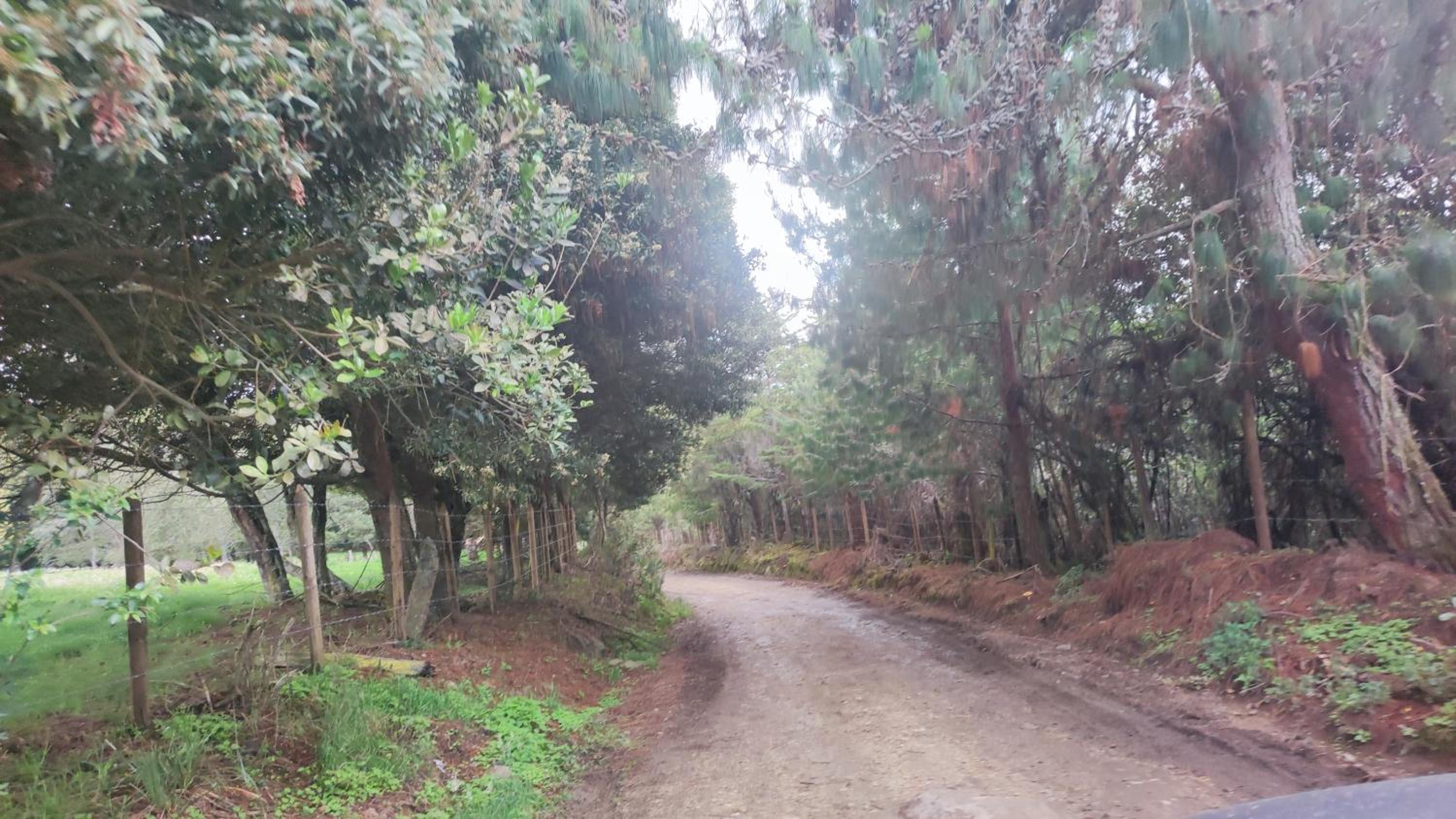 Casa en Guasca, zona urbana y a pasos campo