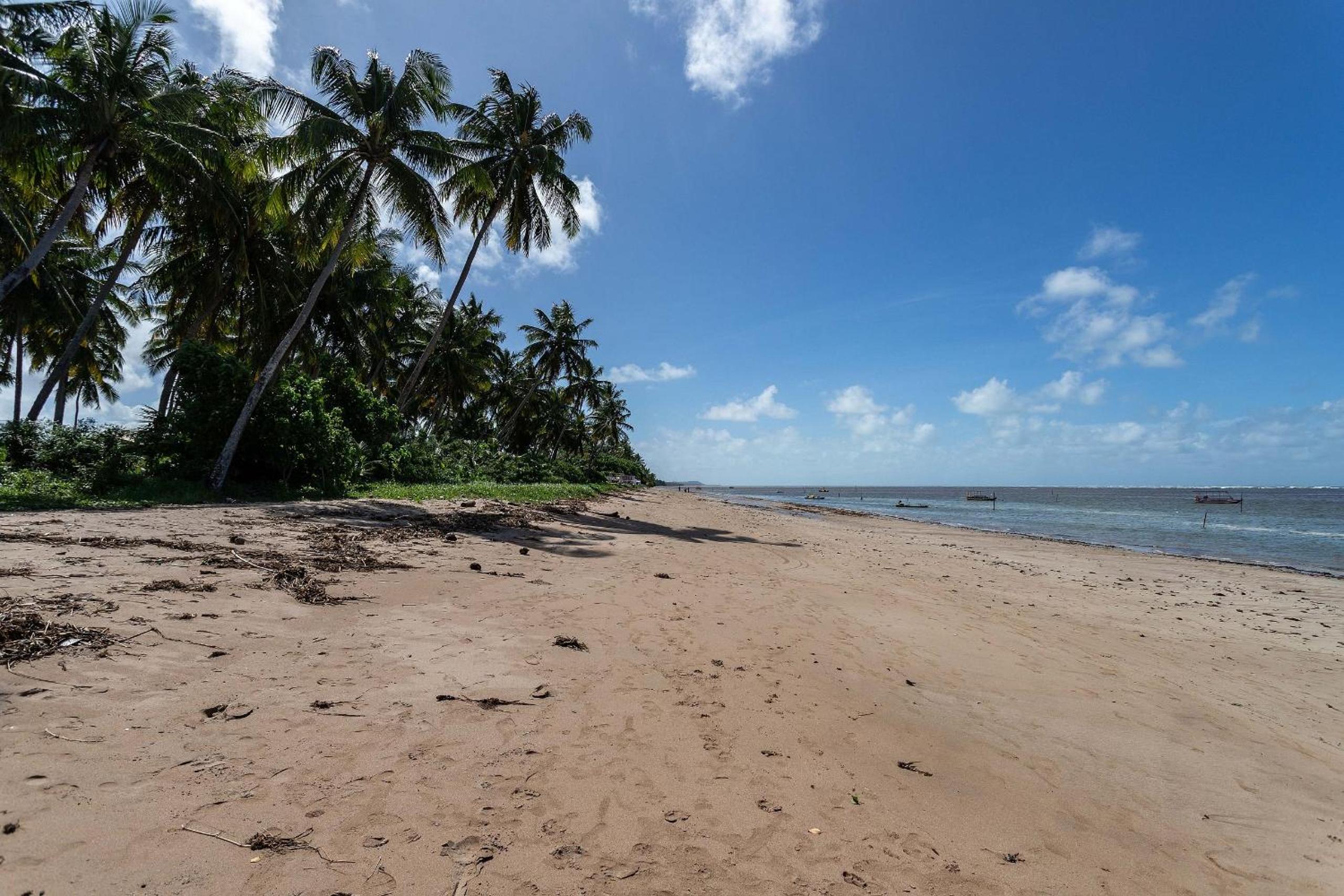 Seaside paradise at Praia do Patacho – 4 suites
