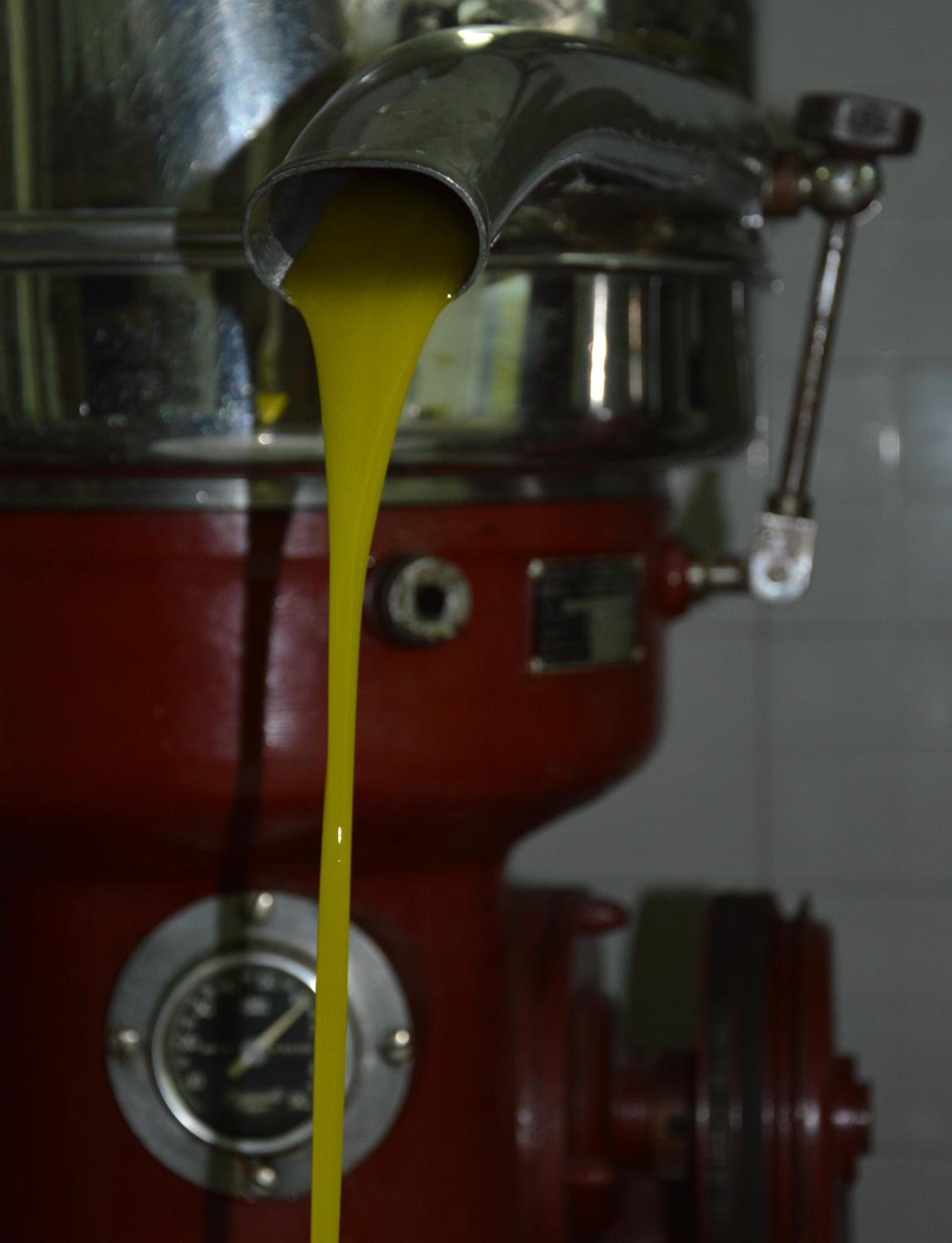 Fattoria Lucciano