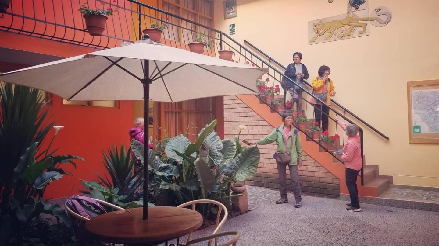 Olaza's guest house