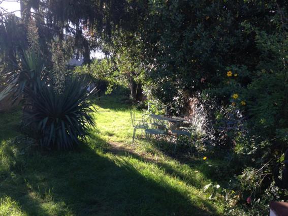 Photo 22