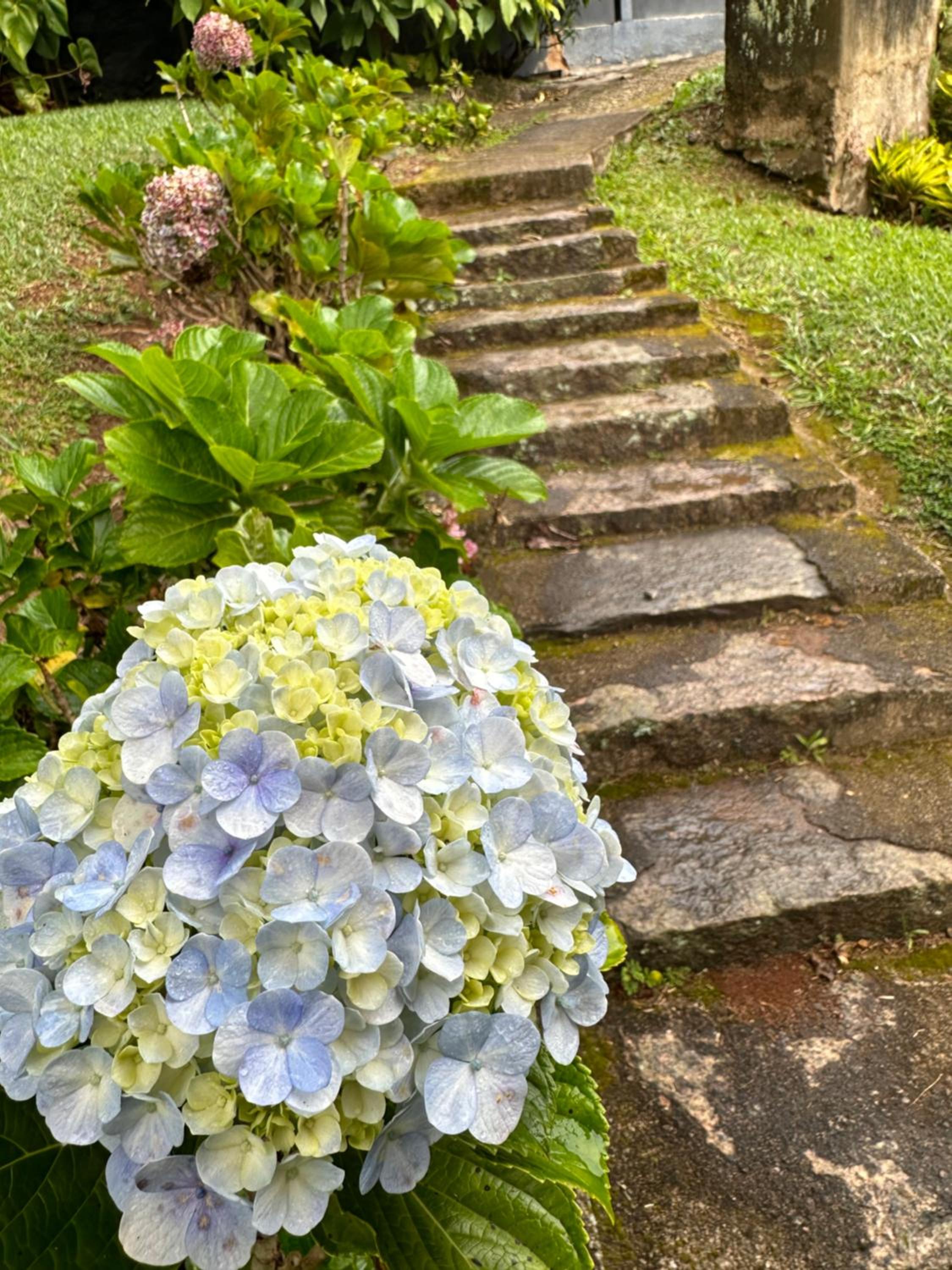 other