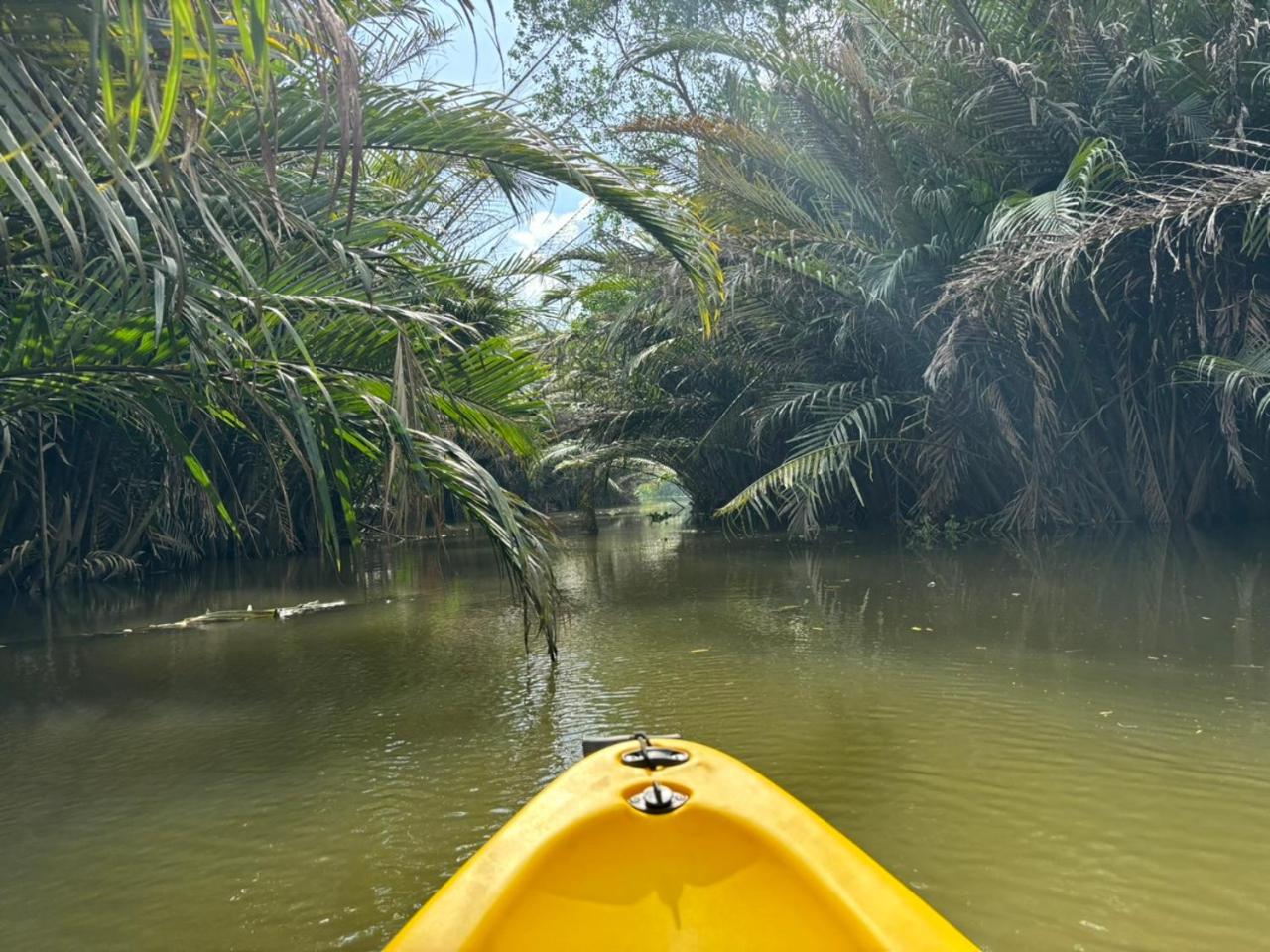 Mekong Delta Homestay 2-Day Tour & Adventure Cycling