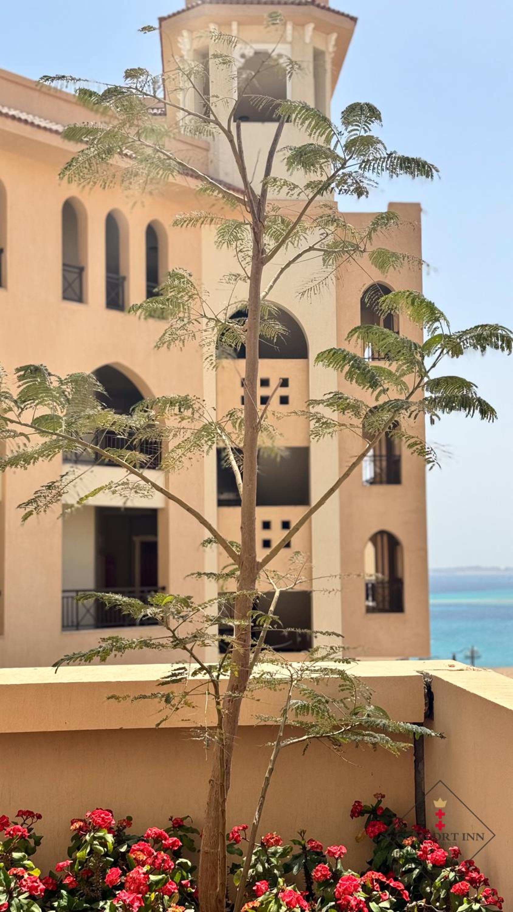 COMFORT INN APARTMENTS-Hurgada,The View