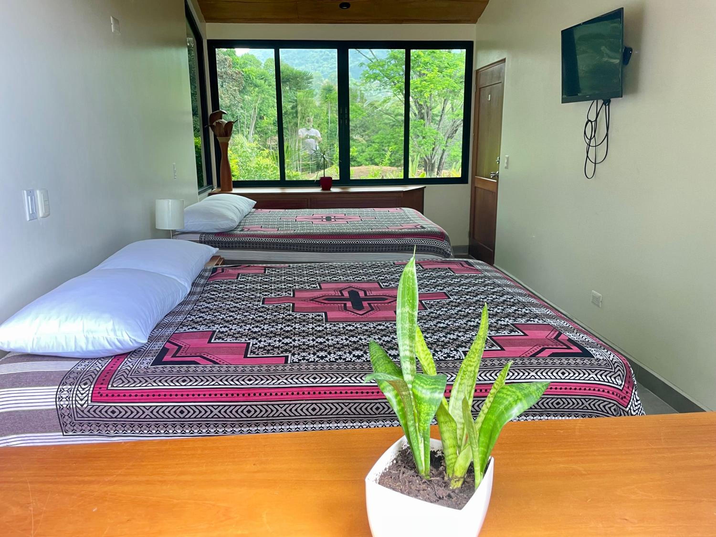 Villas Pura Vida