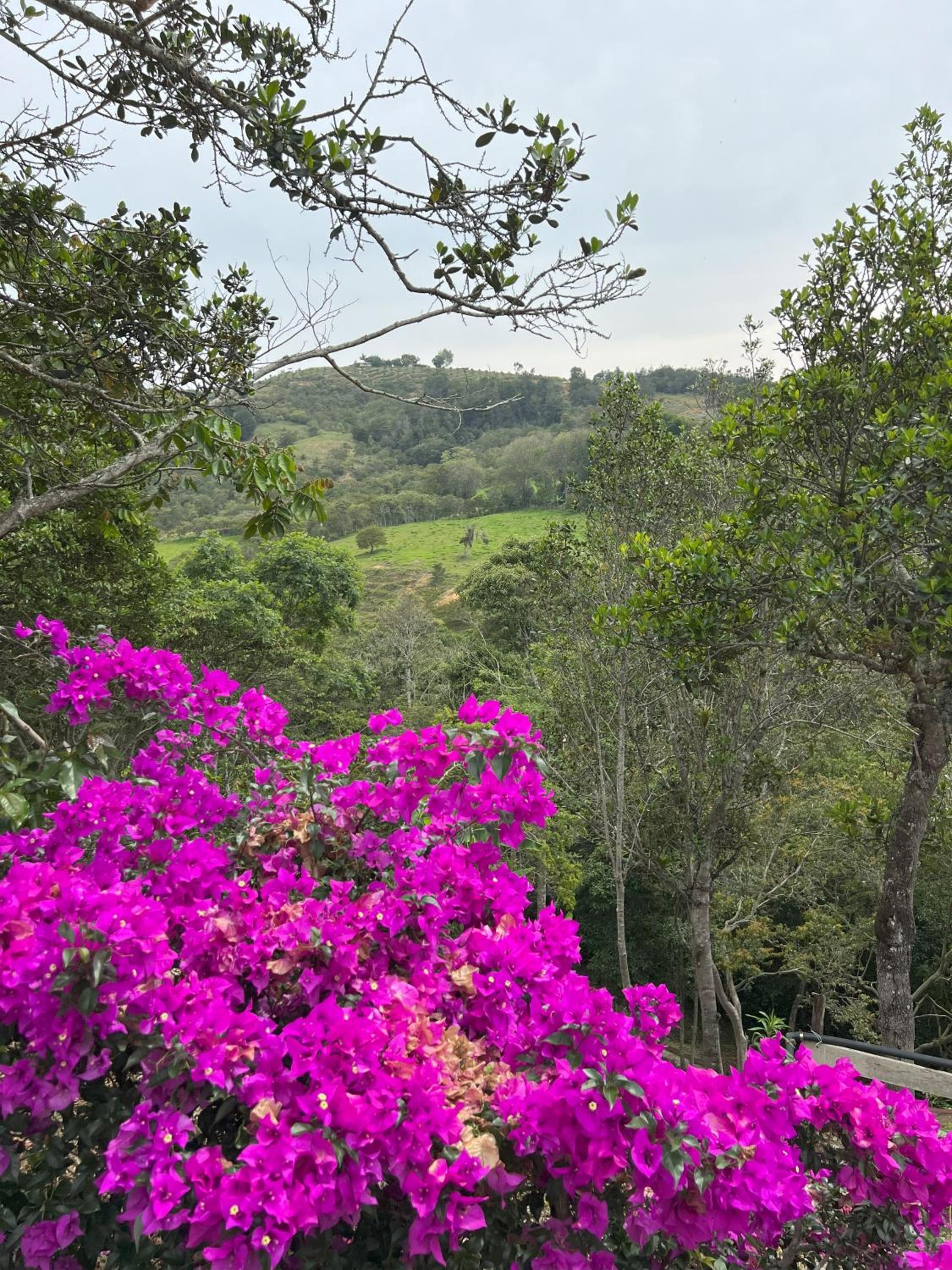Finca Turística Marquesa Wellness - Hospedaje, Naturaleza y Day Spa