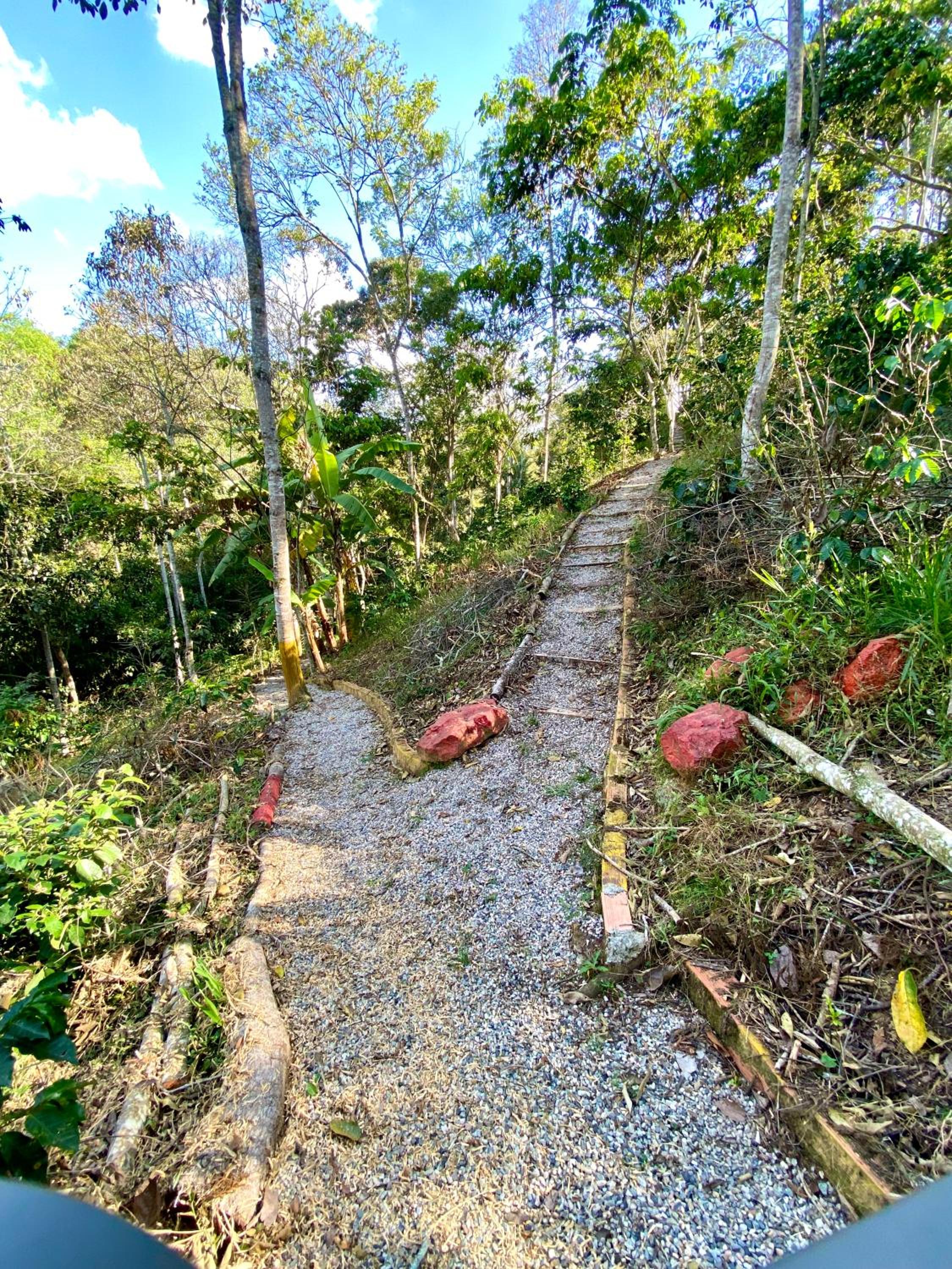 Finca Turística Marquesa Wellness - Hospedaje, Naturaleza y Day Spa