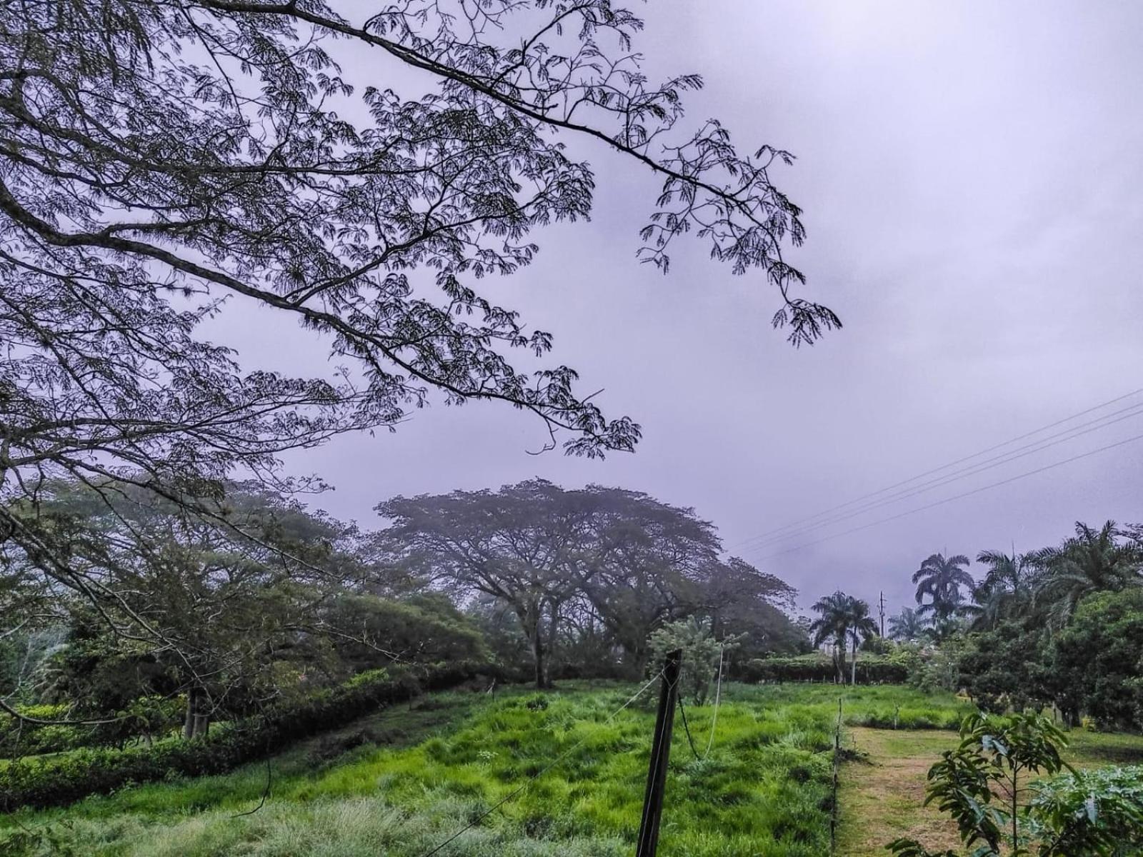 Glamping Villa Guadalupe
