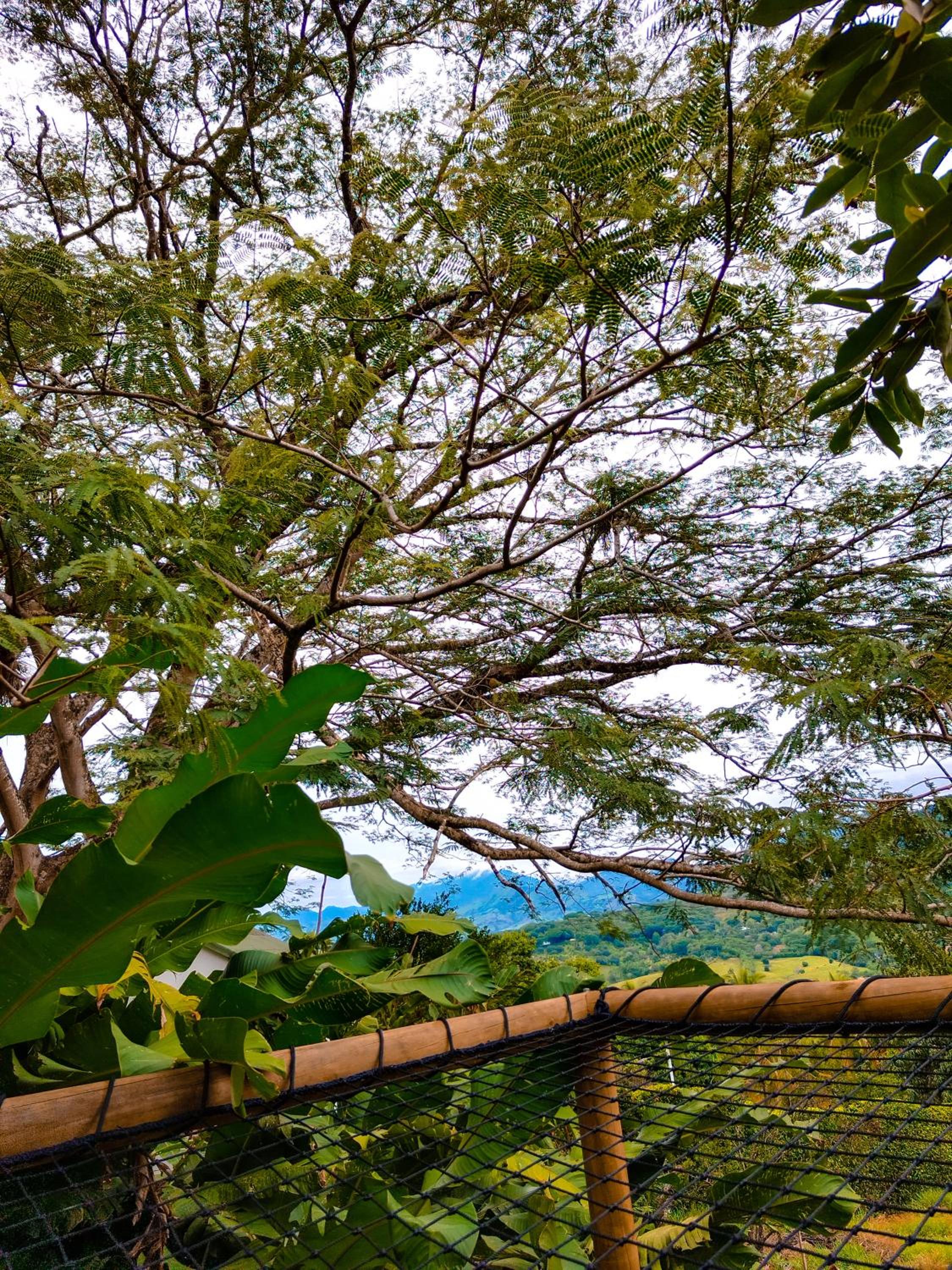 Glamping Villa Guadalupe