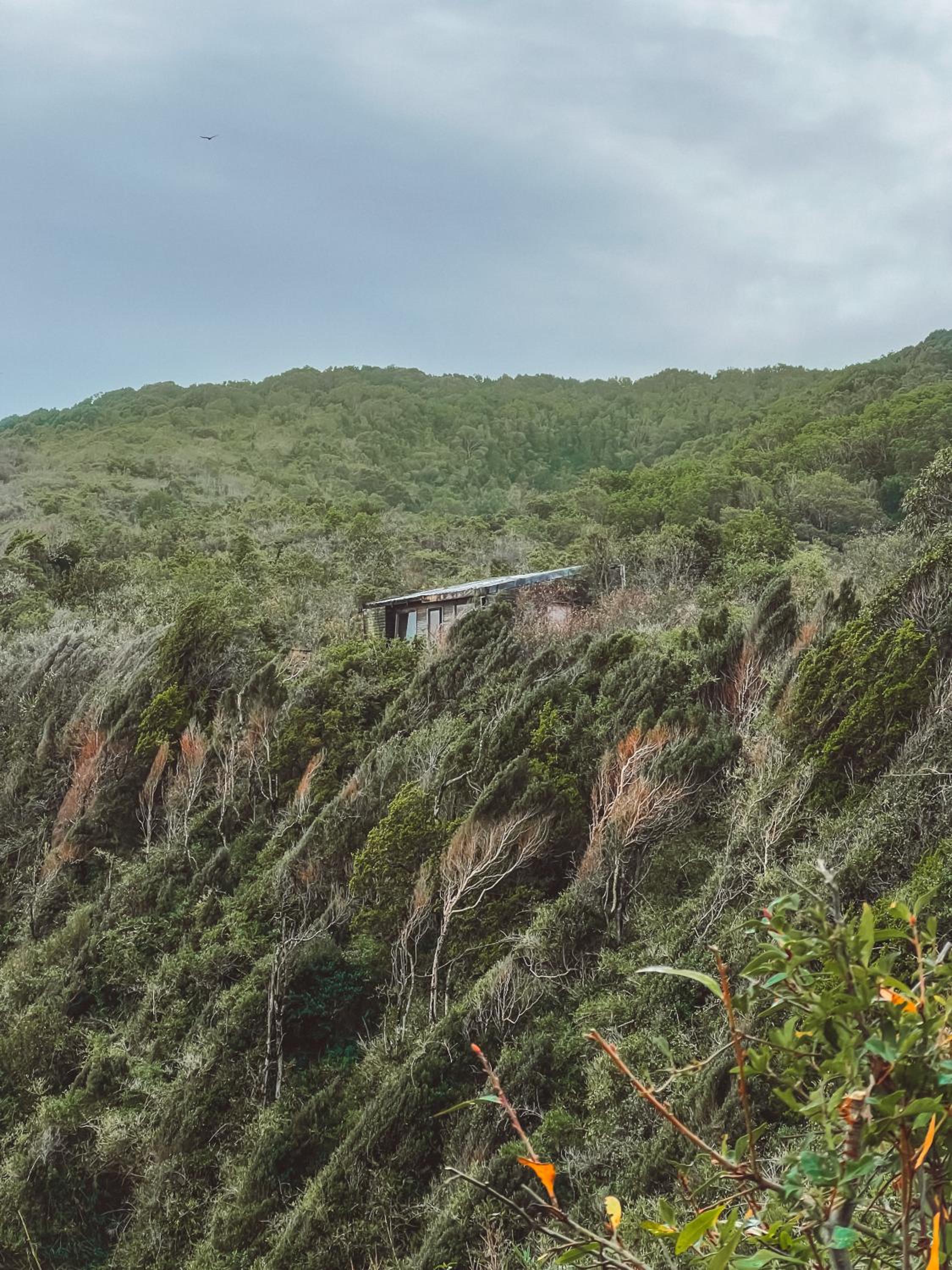 Welemu Tiny House Refugio Epu
