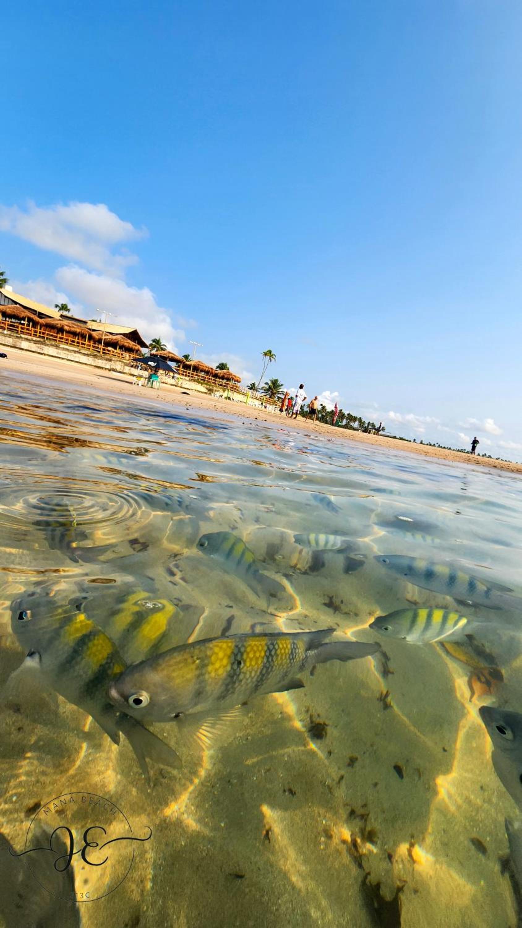 Mana Beach 313C - Praia de Muro Alto em Porto de Galinhas