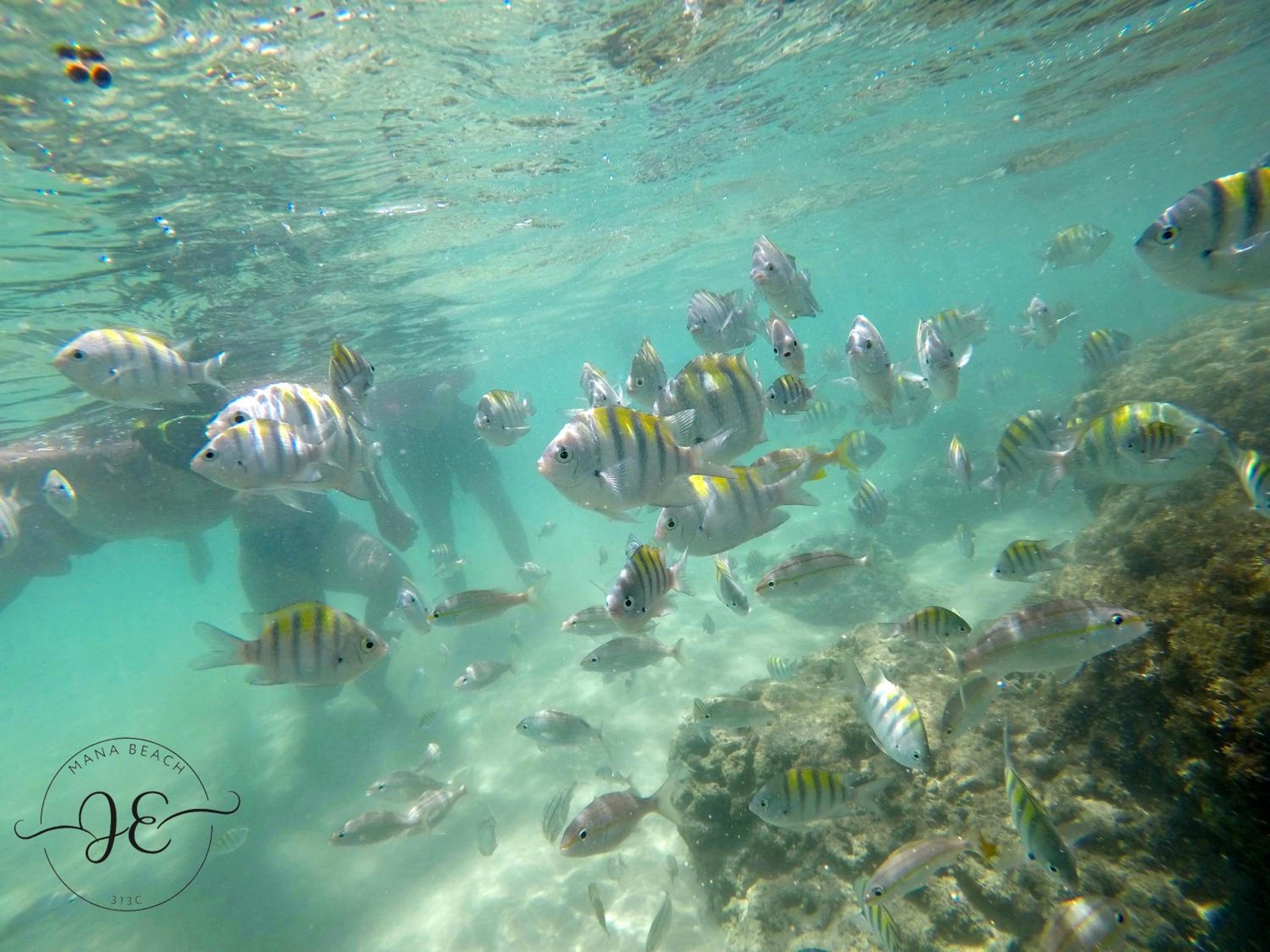 Mana Beach 313C - Praia de Muro Alto em Porto de Galinhas