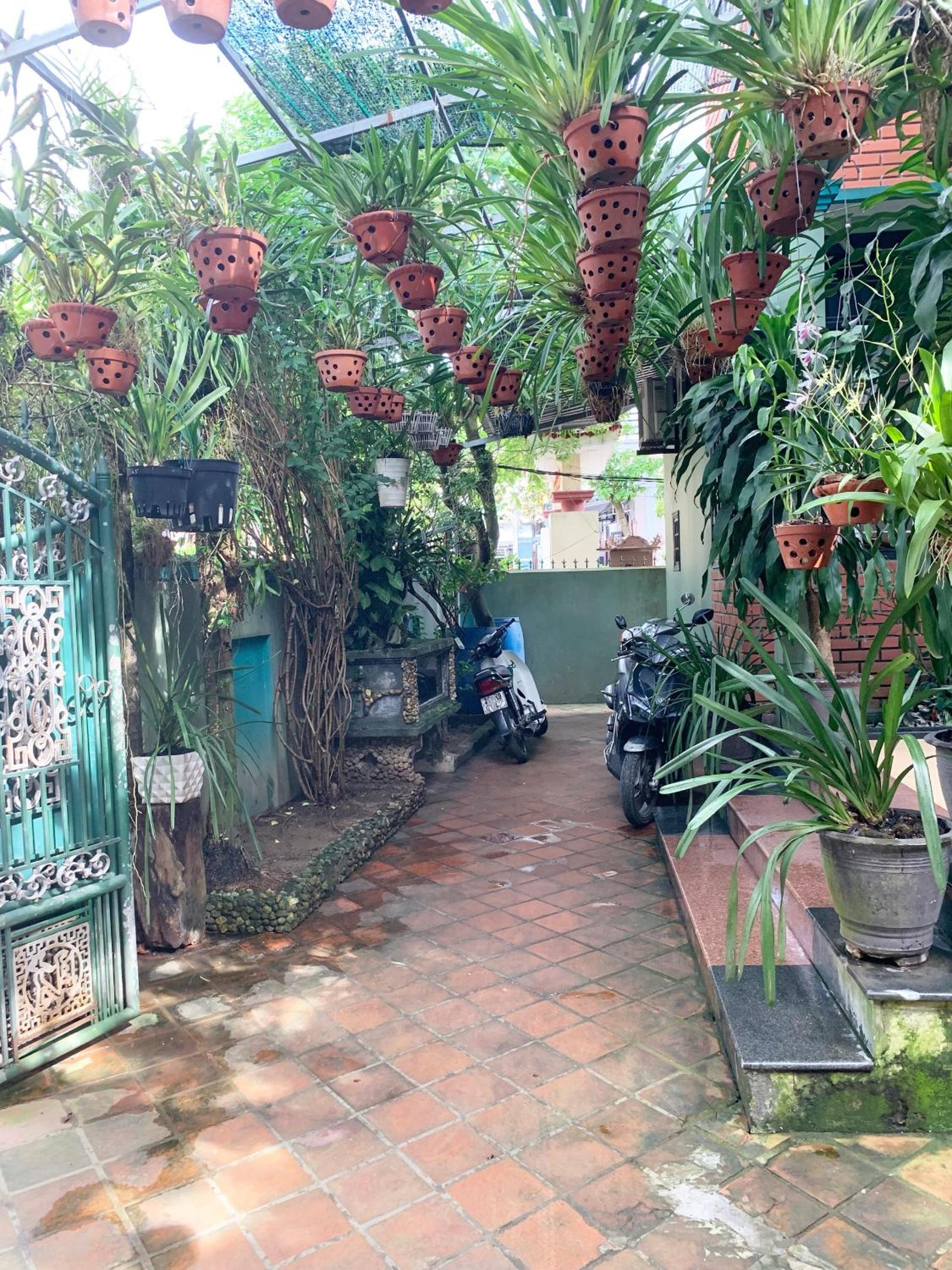 Anh Đào motel