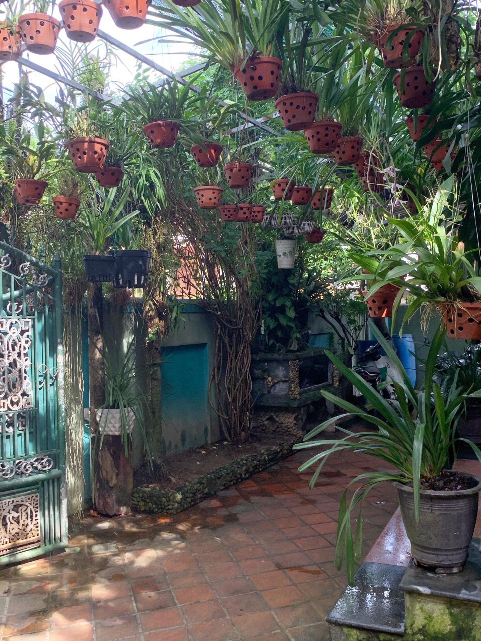 Anh Đào motel
