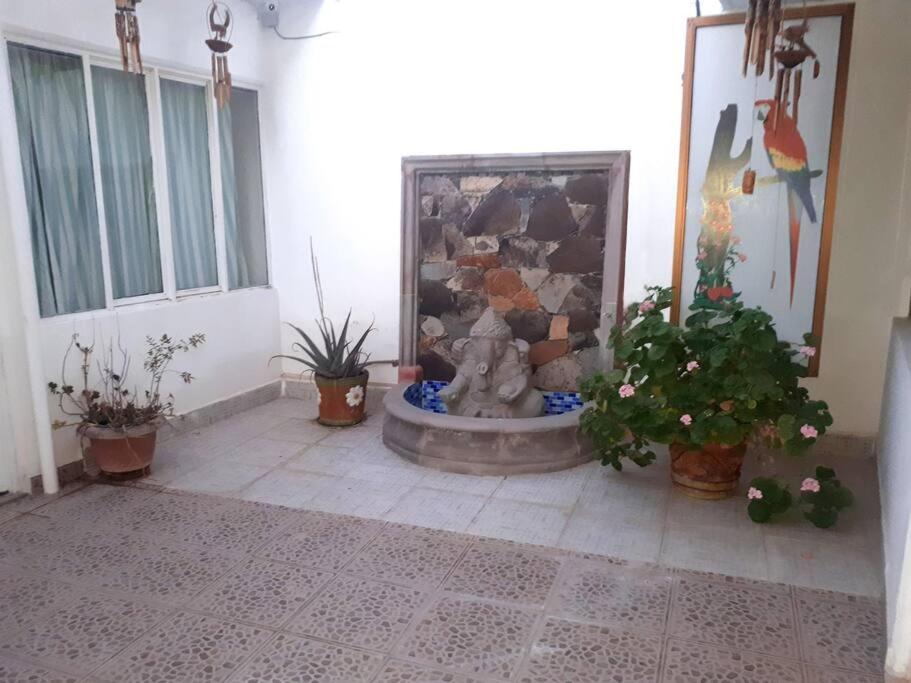 Casa Roma view 5