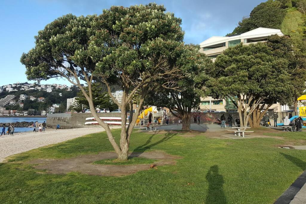 Photo 11