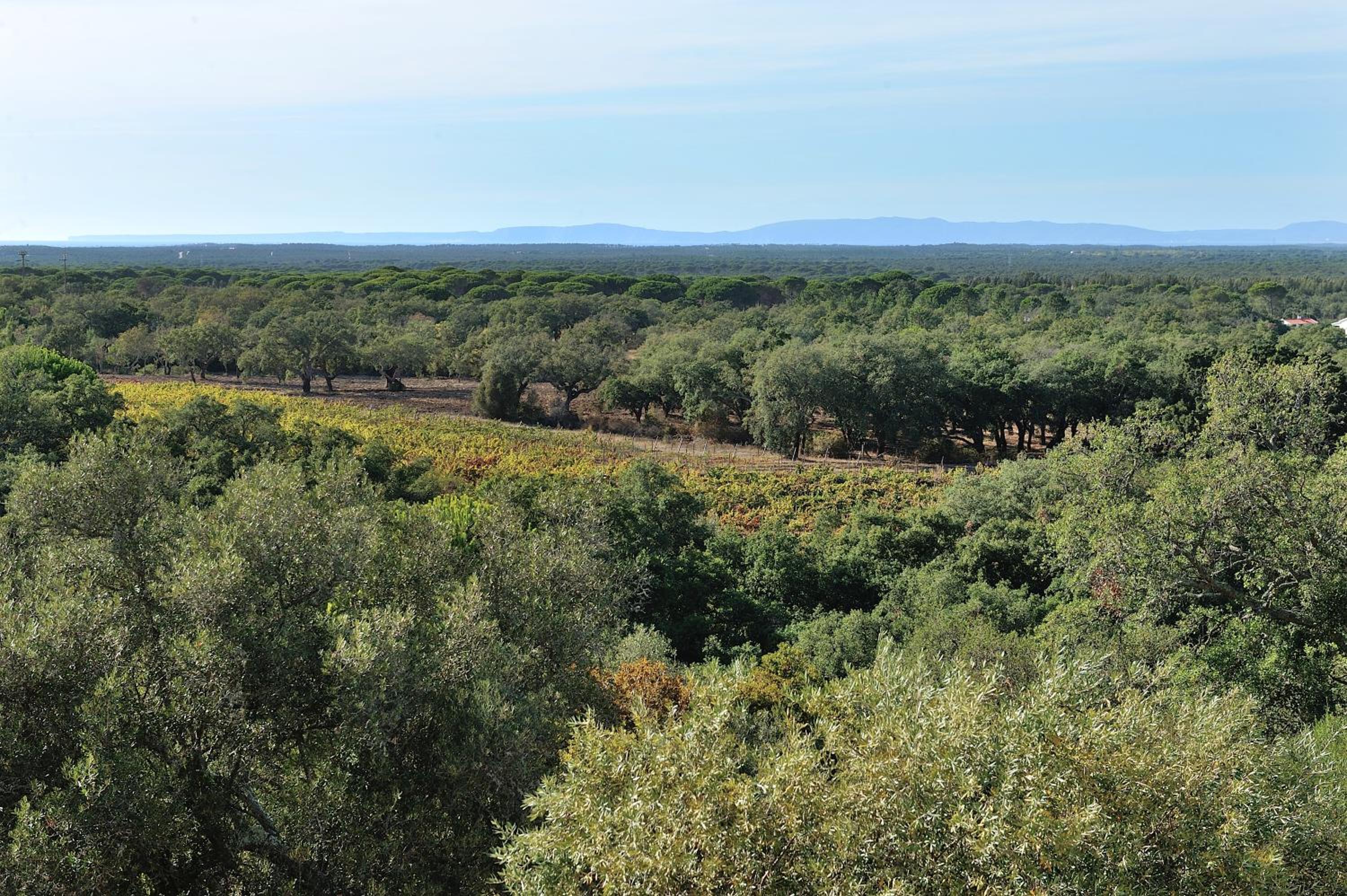 A Serenada Enoturismo
