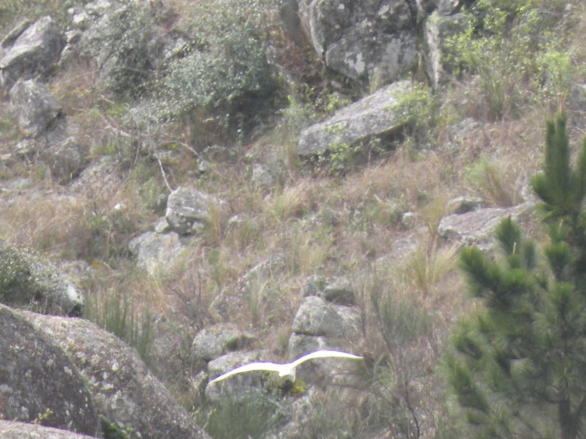 Brisas del Champaquí