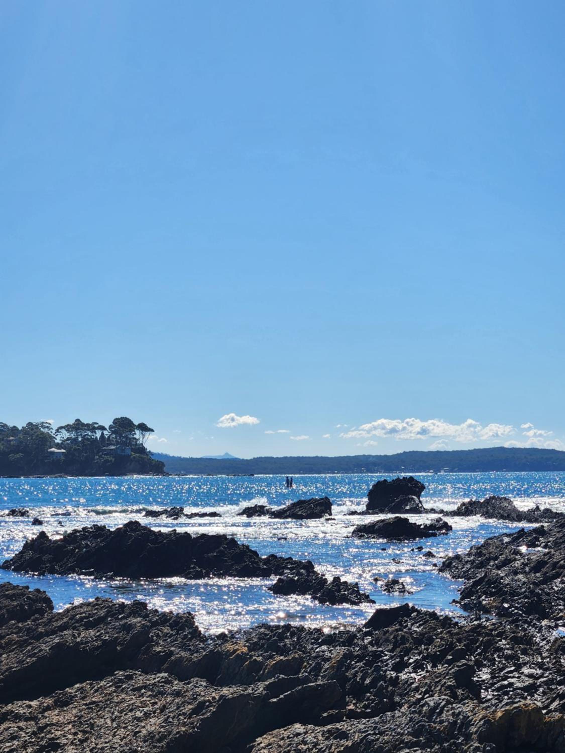 Dolphinview
