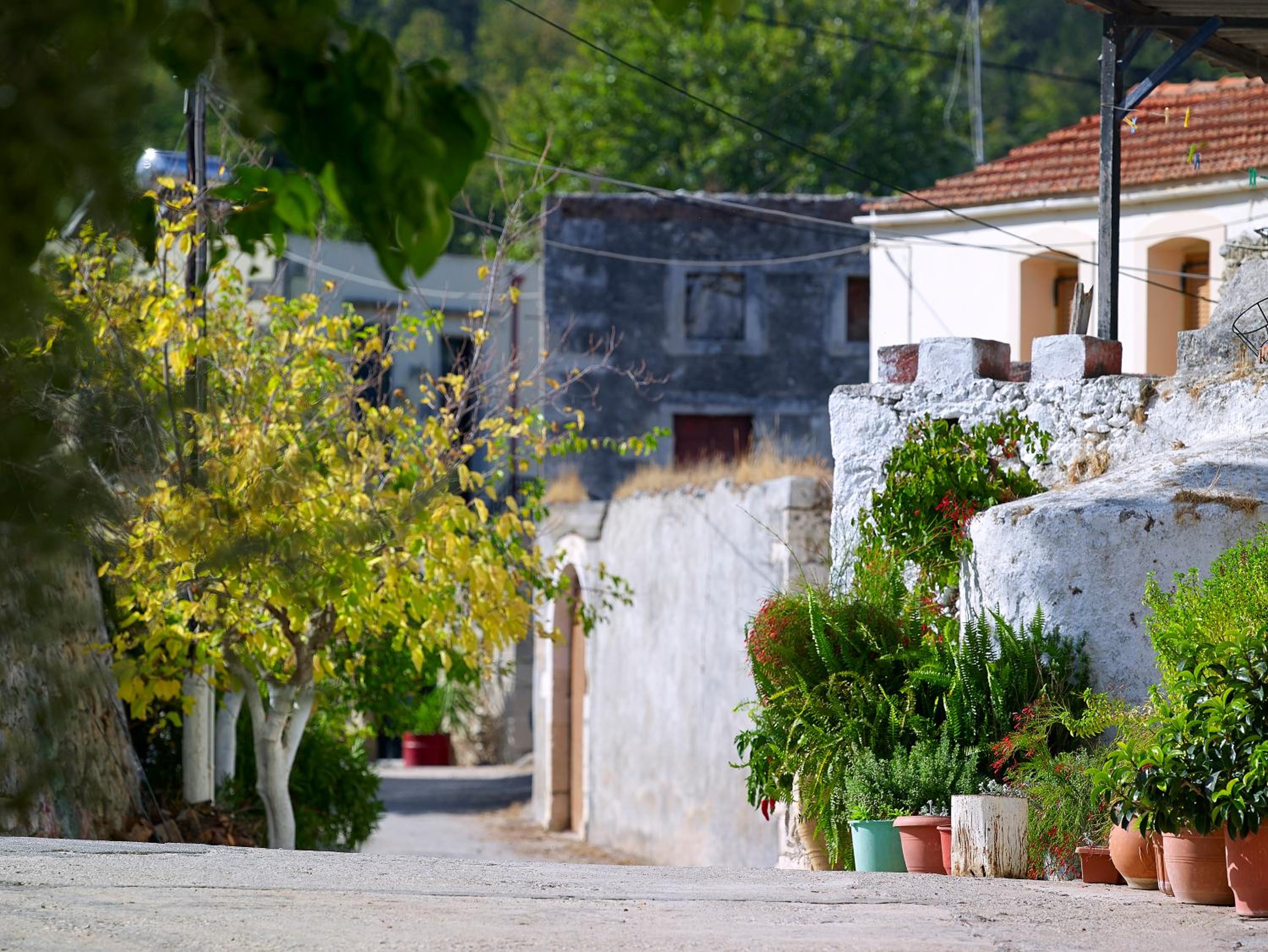 Vederi Estate