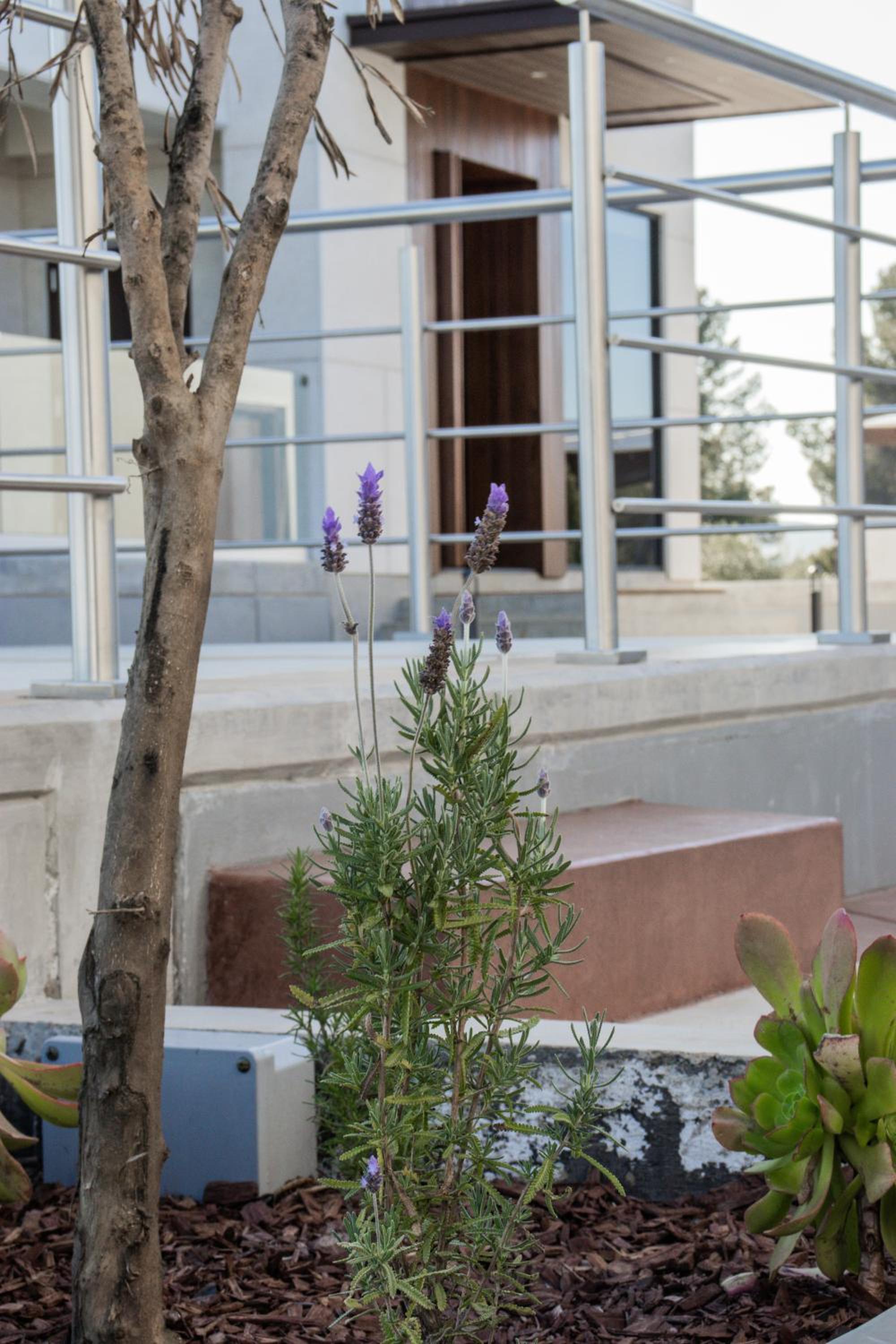 Ensenada Vacations - Villa Simul Hotel Boutique, Valle de Guadalupe BC - Property Image 9