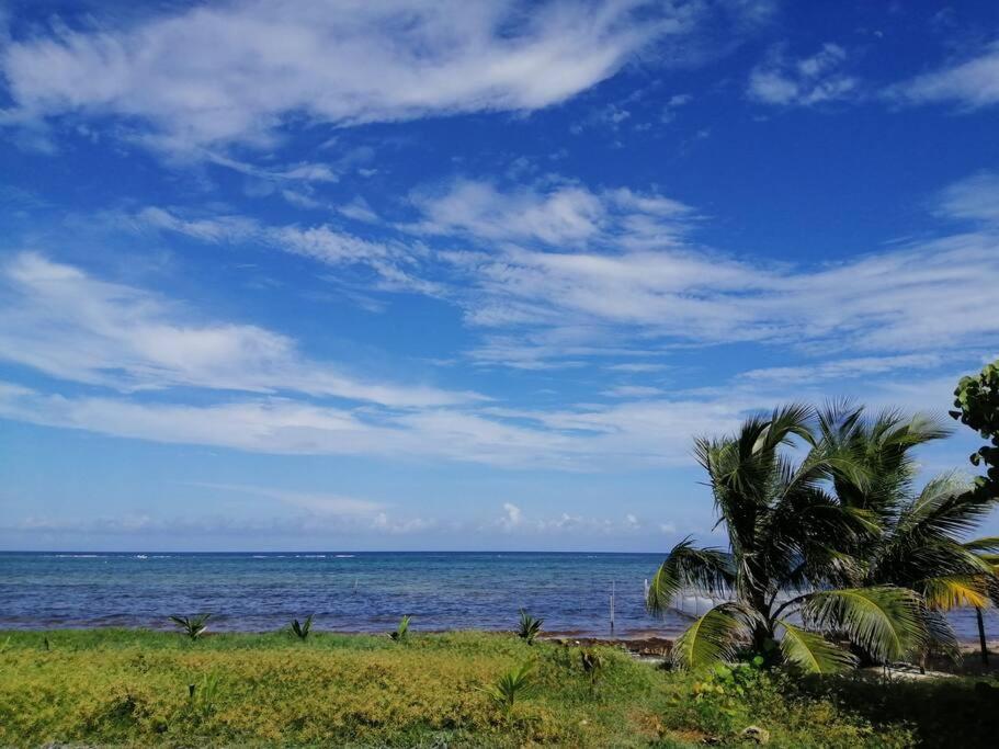 Mahaguay - Hermoso departamento frente al mar en Mahahual