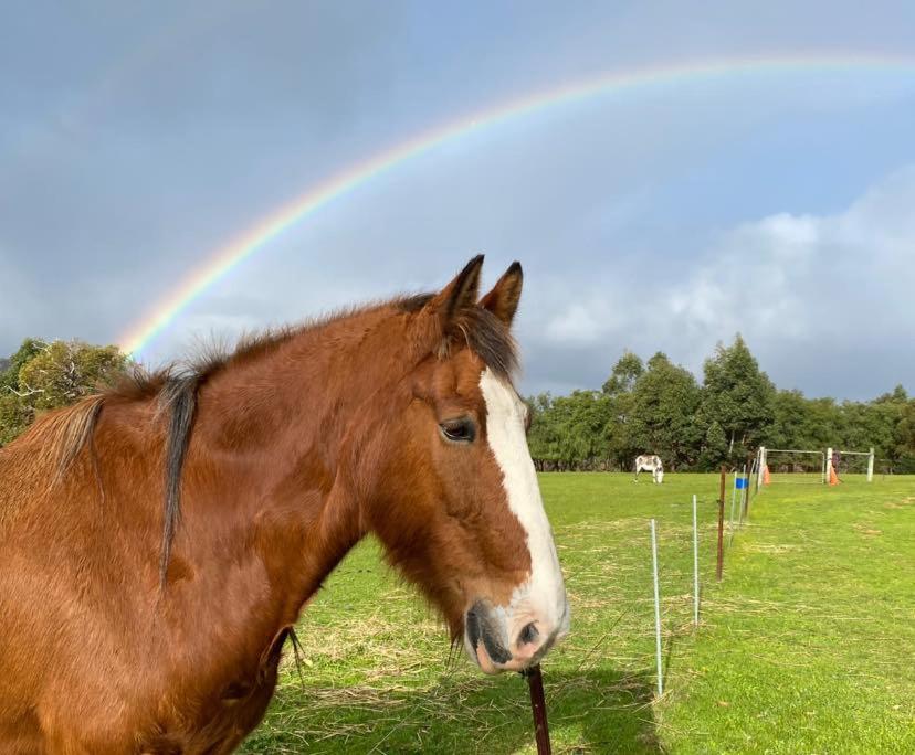 BIG4 Middleton Beach Holiday Park