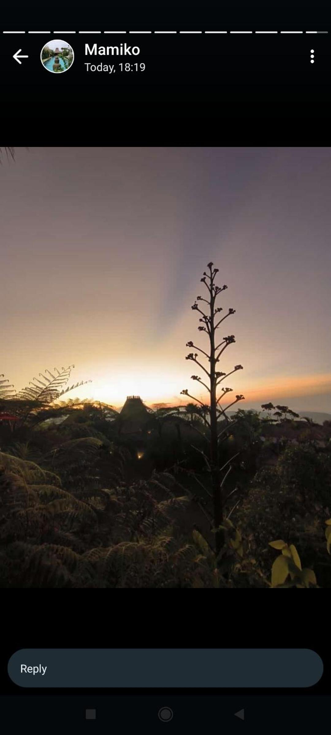 Pondok Beratan in Kawinaya