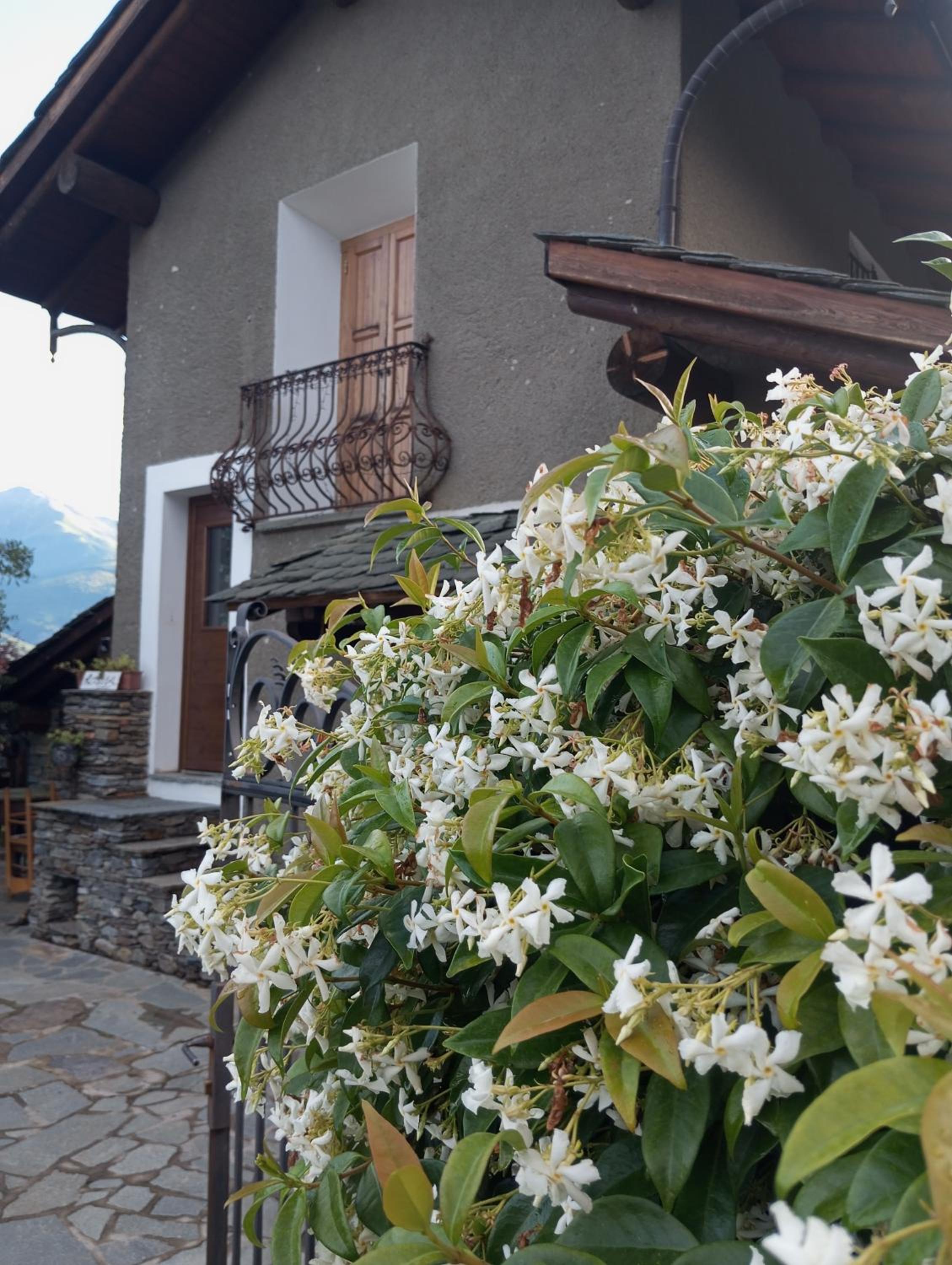 ROSINA HOUSE e CHALET view 5