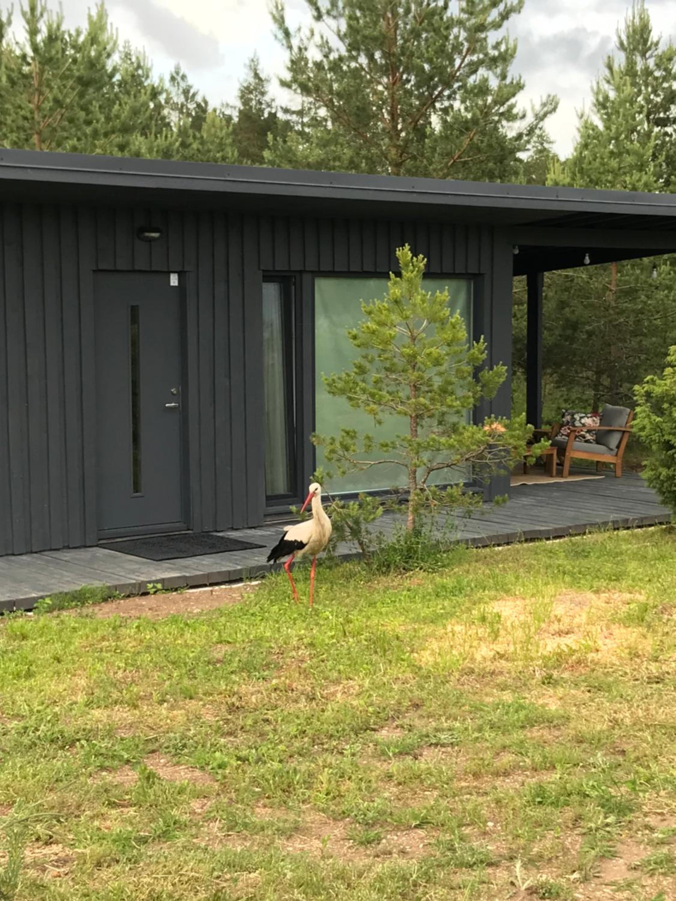 Ronga saunamaja