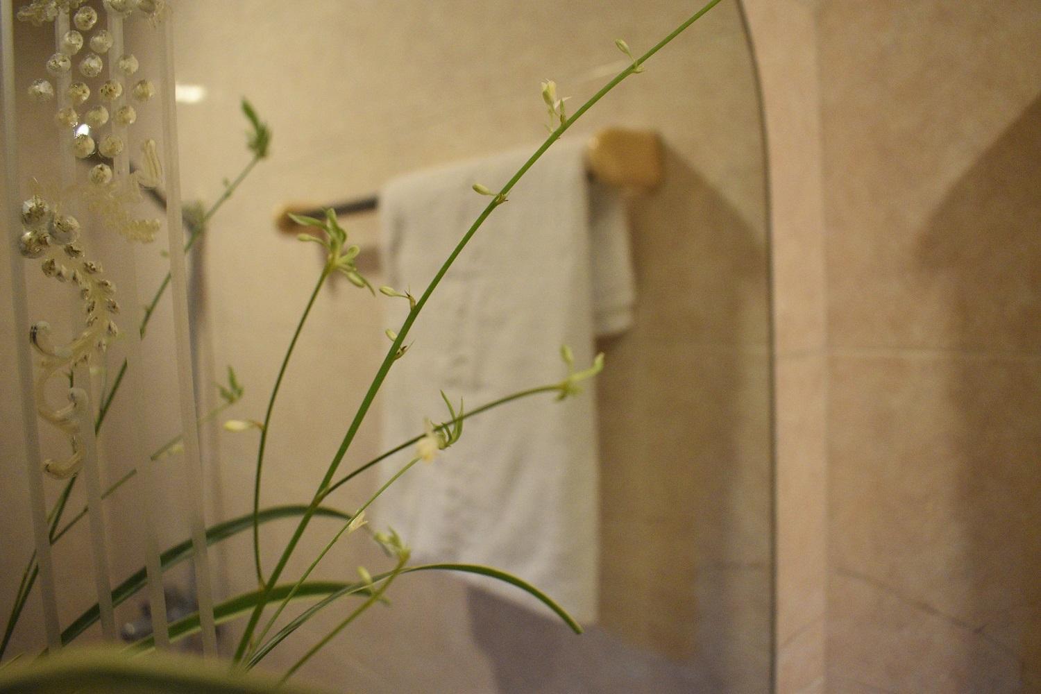 Phuong Trang Hotel