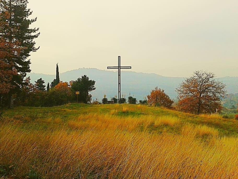 Photo 39