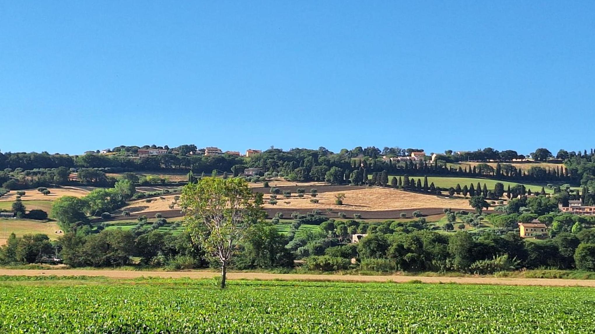 NUOVO appartamento bella vista vicino al mare view 4