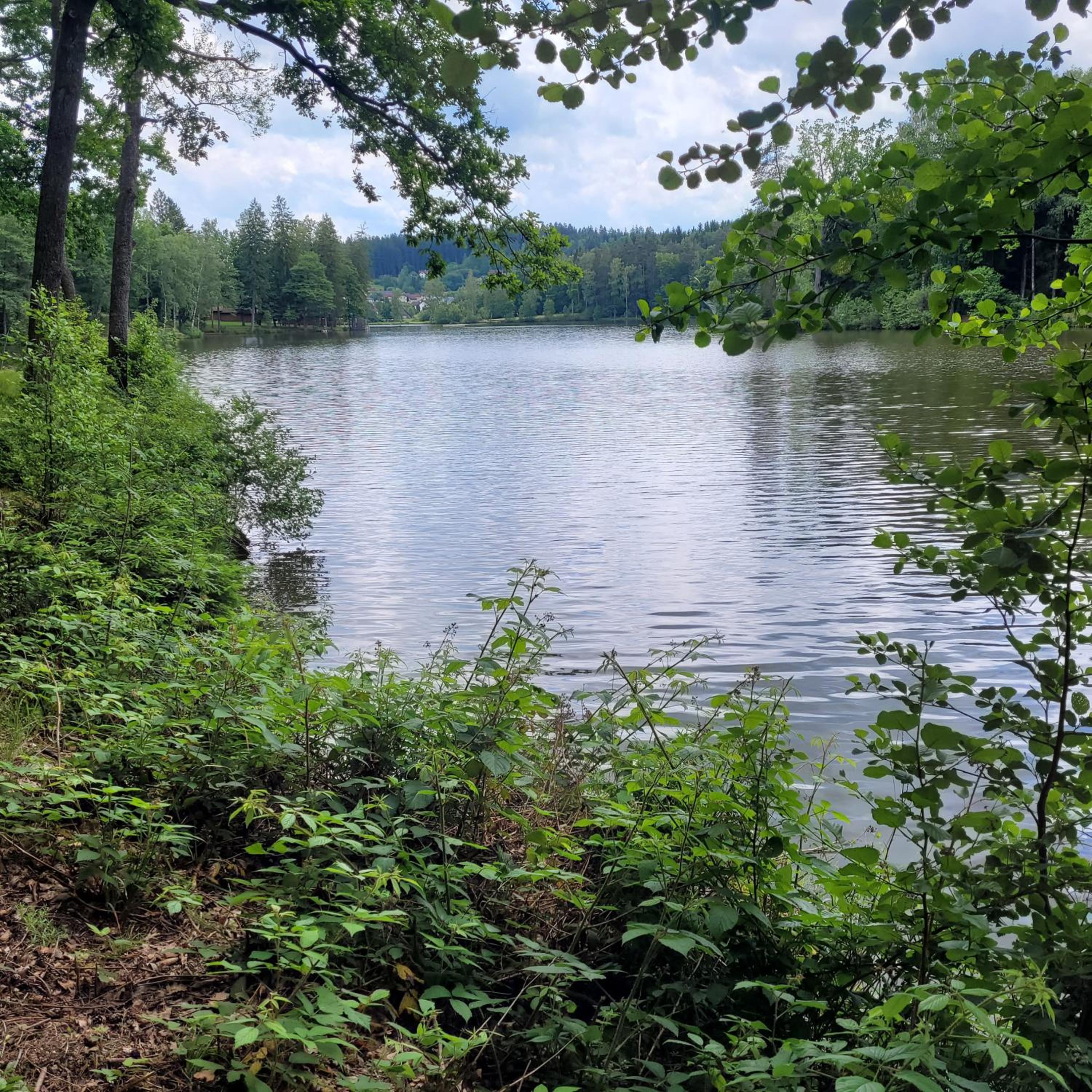 Haus Waldviertel am Herrensee view 4