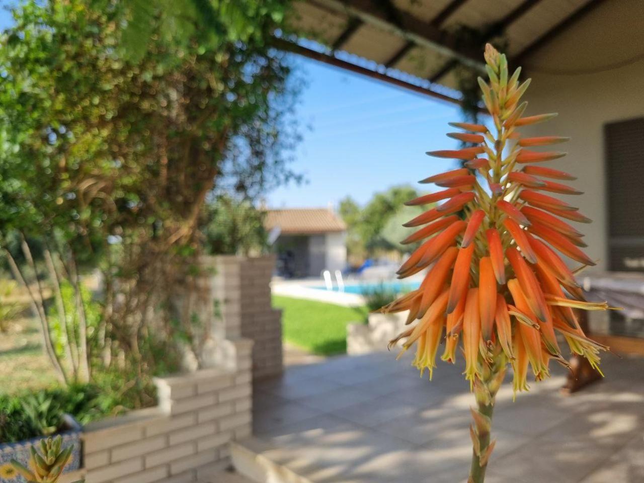 Accogliente villa con piscina
