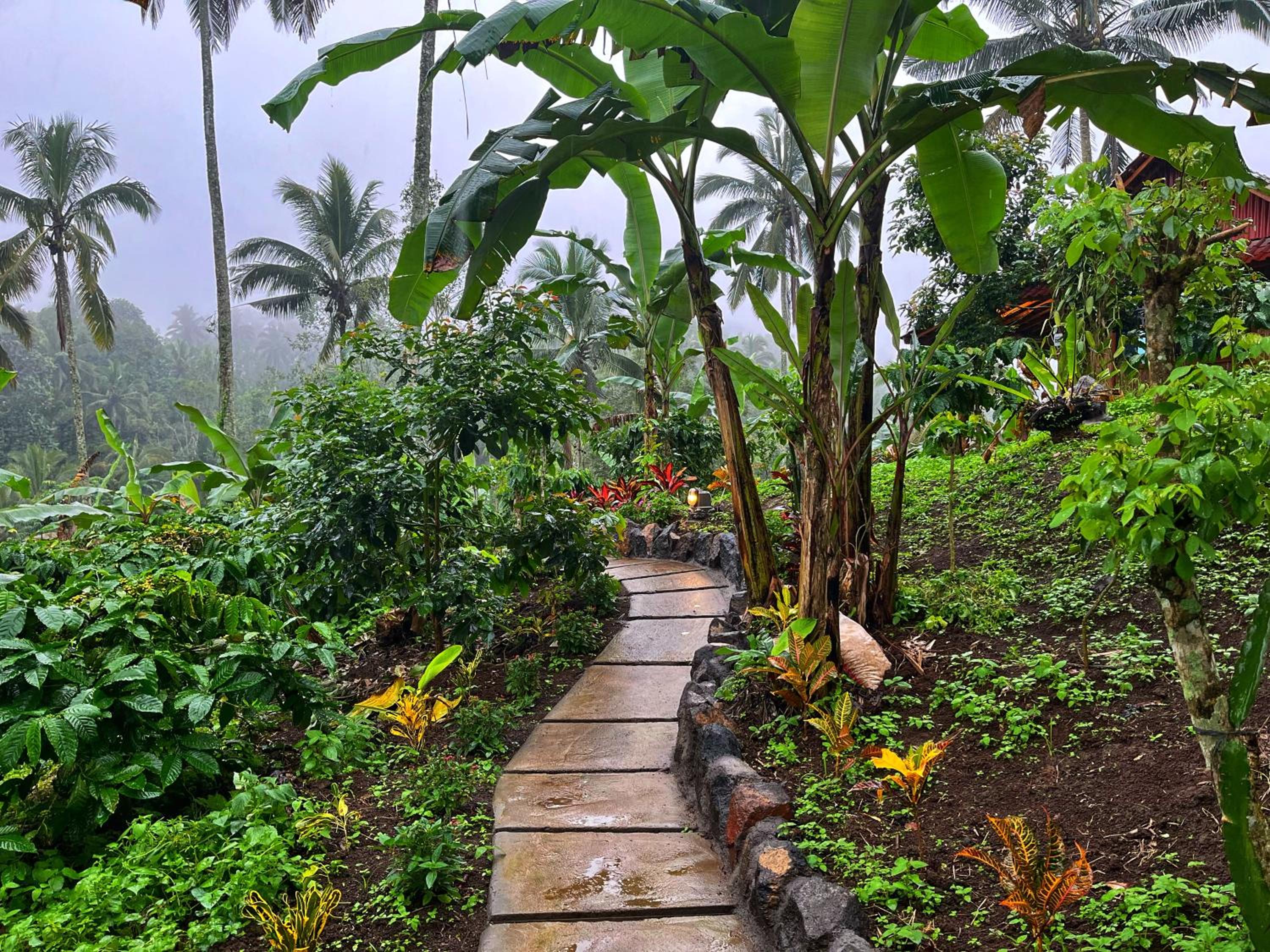 Pondok Di Kebun view 5