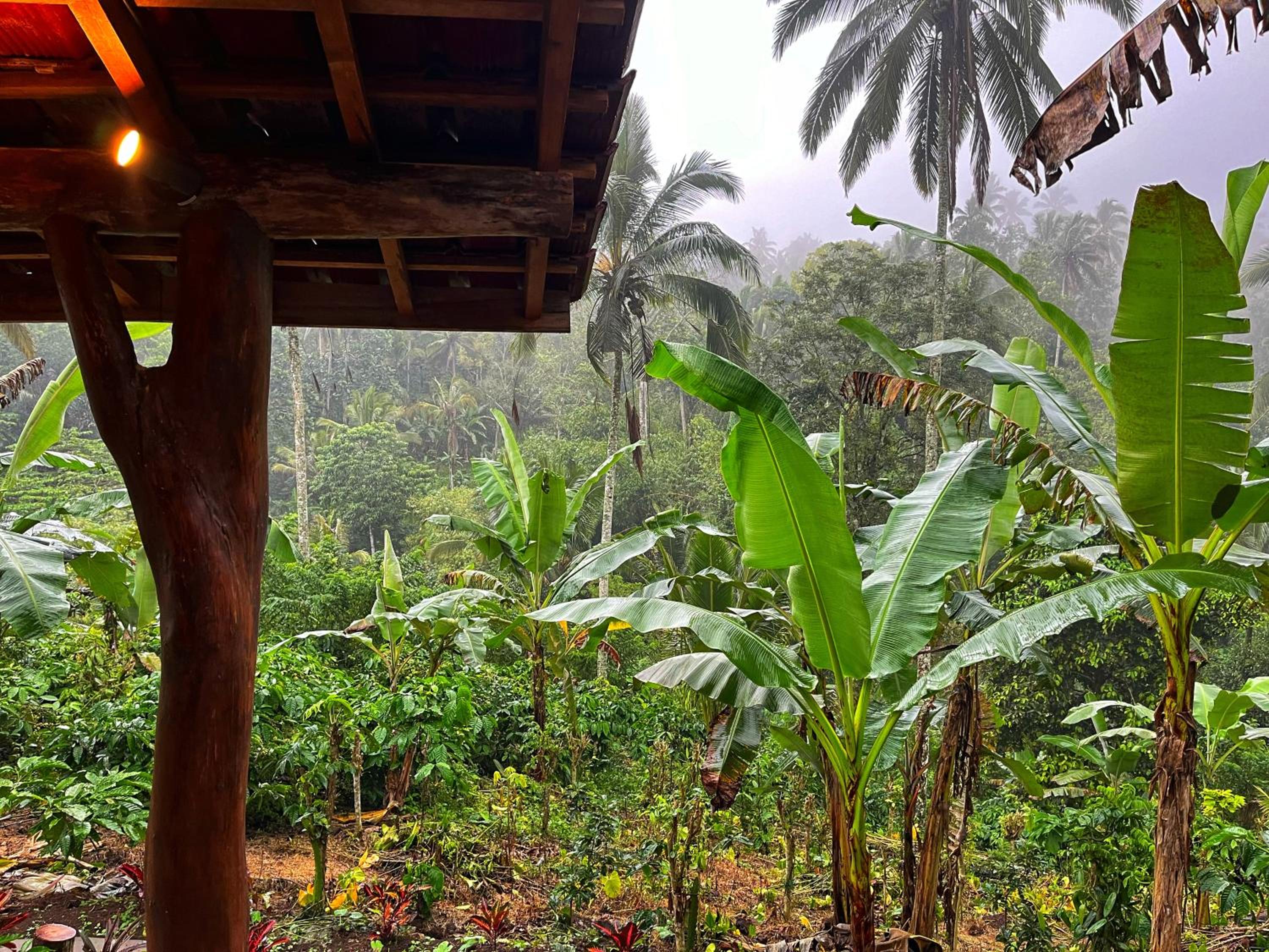 Pondok Di Kebun view 4