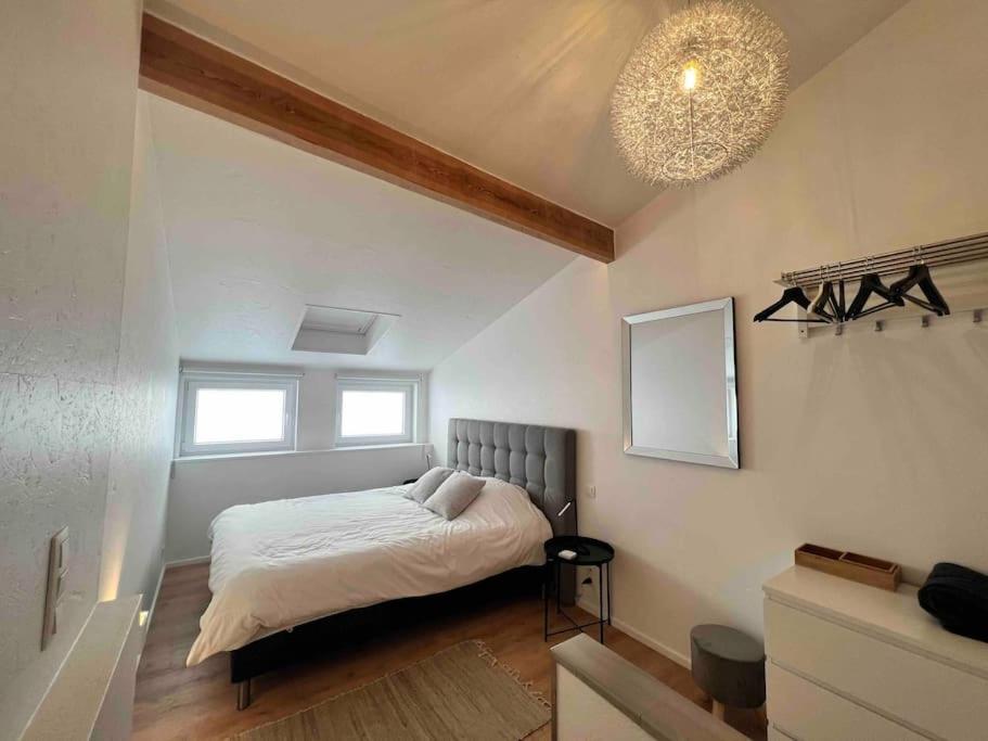 Grand Triplex d'architecte en hypercentre