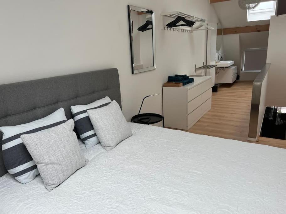 Grand Triplex d'architecte en hypercentre