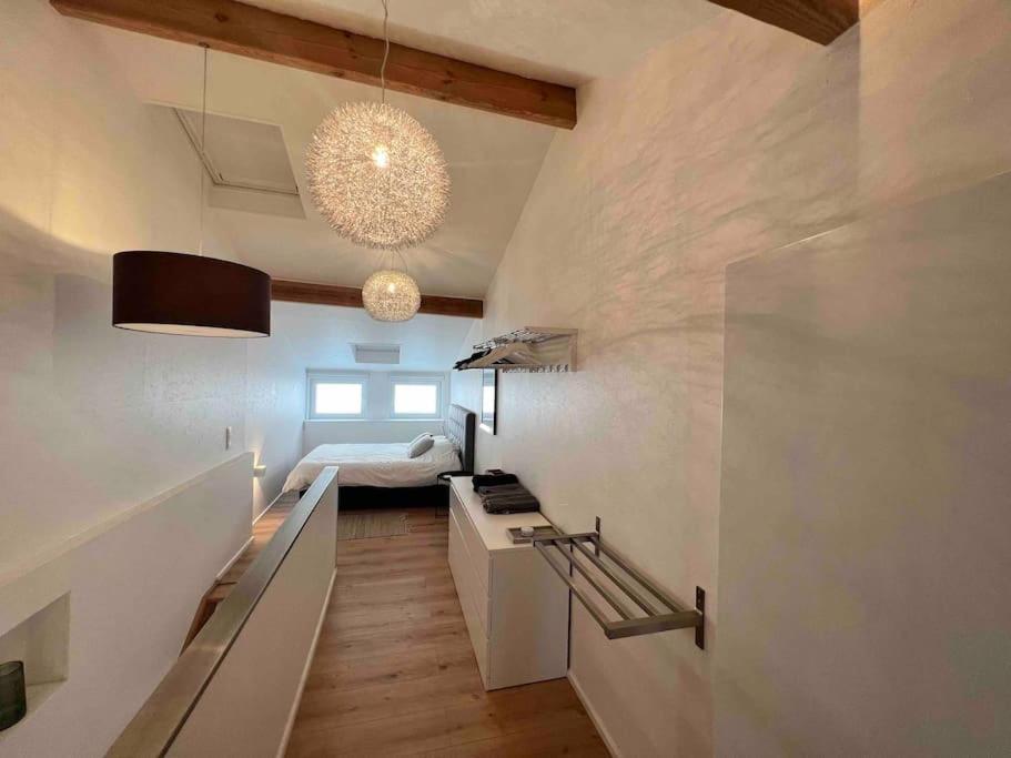 Grand Triplex d'architecte en hypercentre